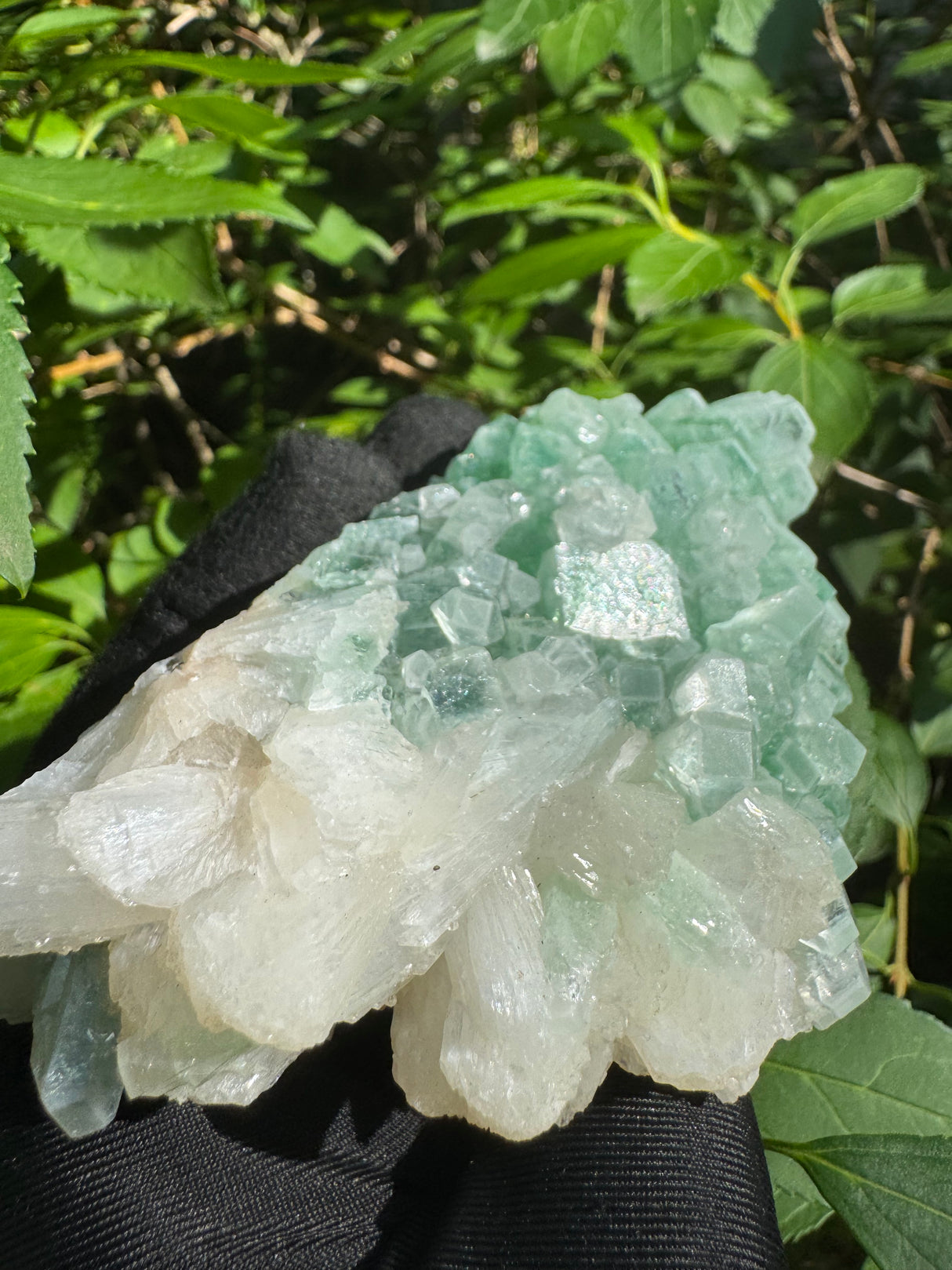 Green Apophyllite - 311g