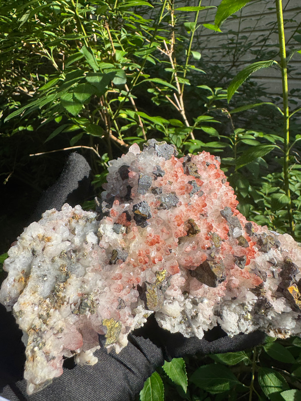 Pyrite and Quartz Masterpeice - 1090g