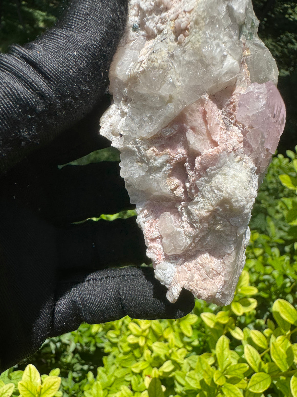 Kunzite Specimen - 302g