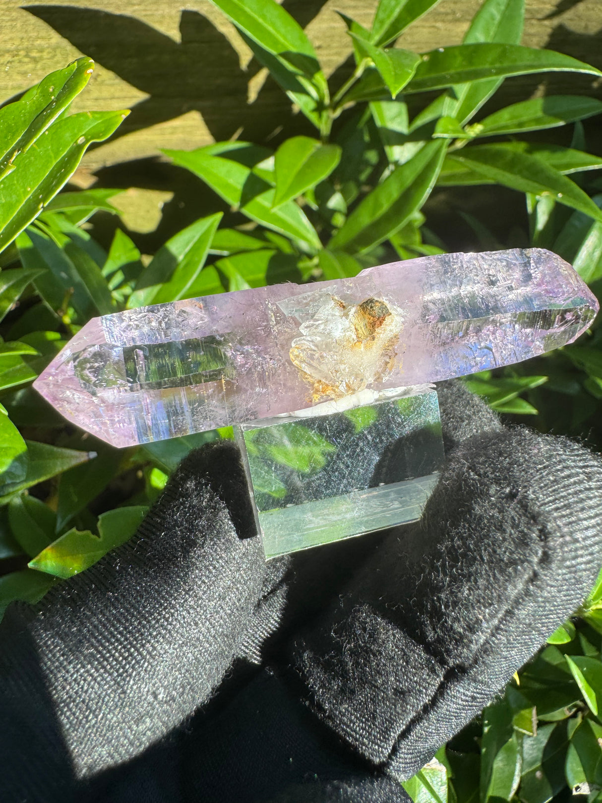 Vera Cruz Amethyst - 20g