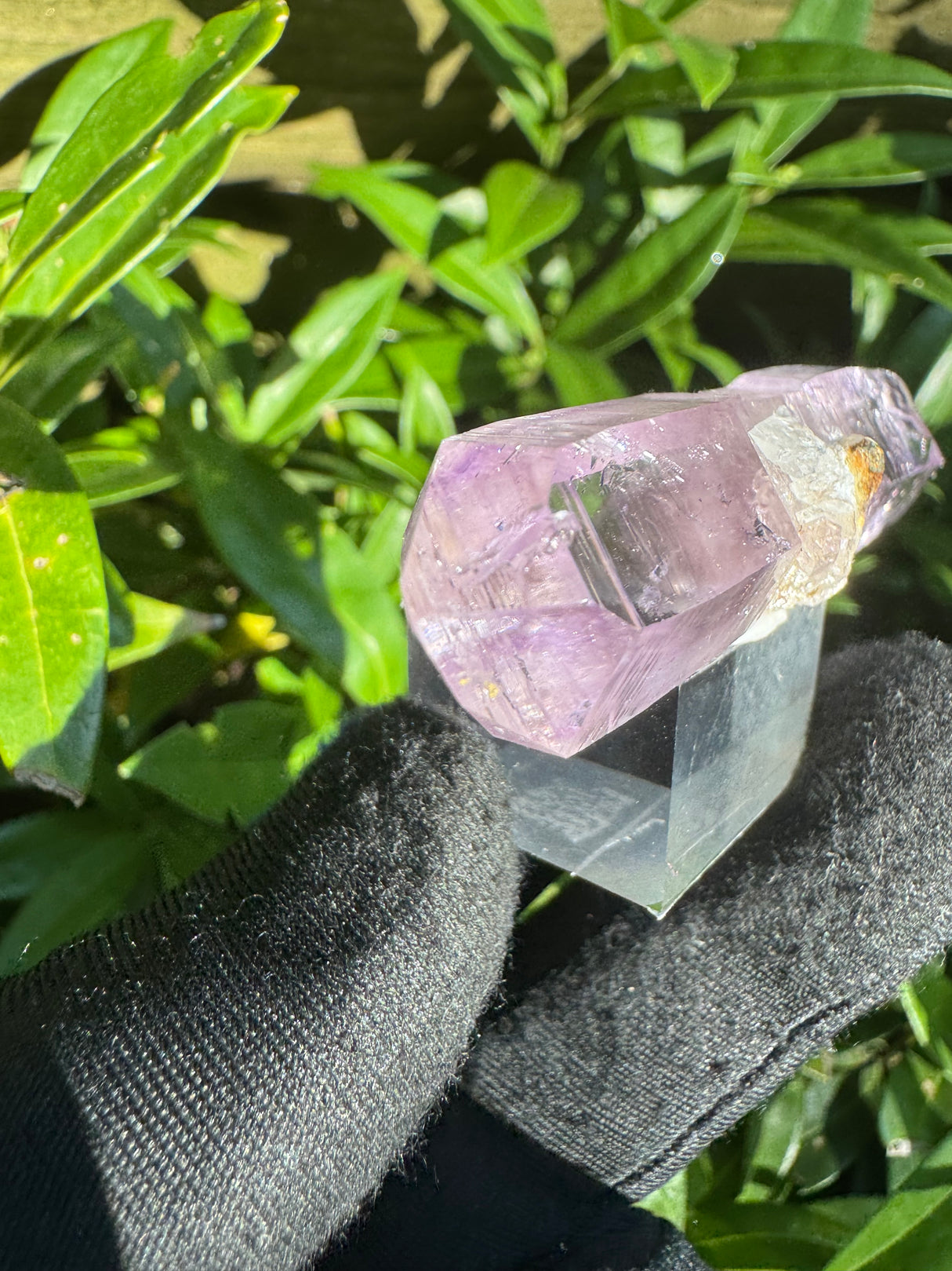 Vera Cruz Amethyst - 20g