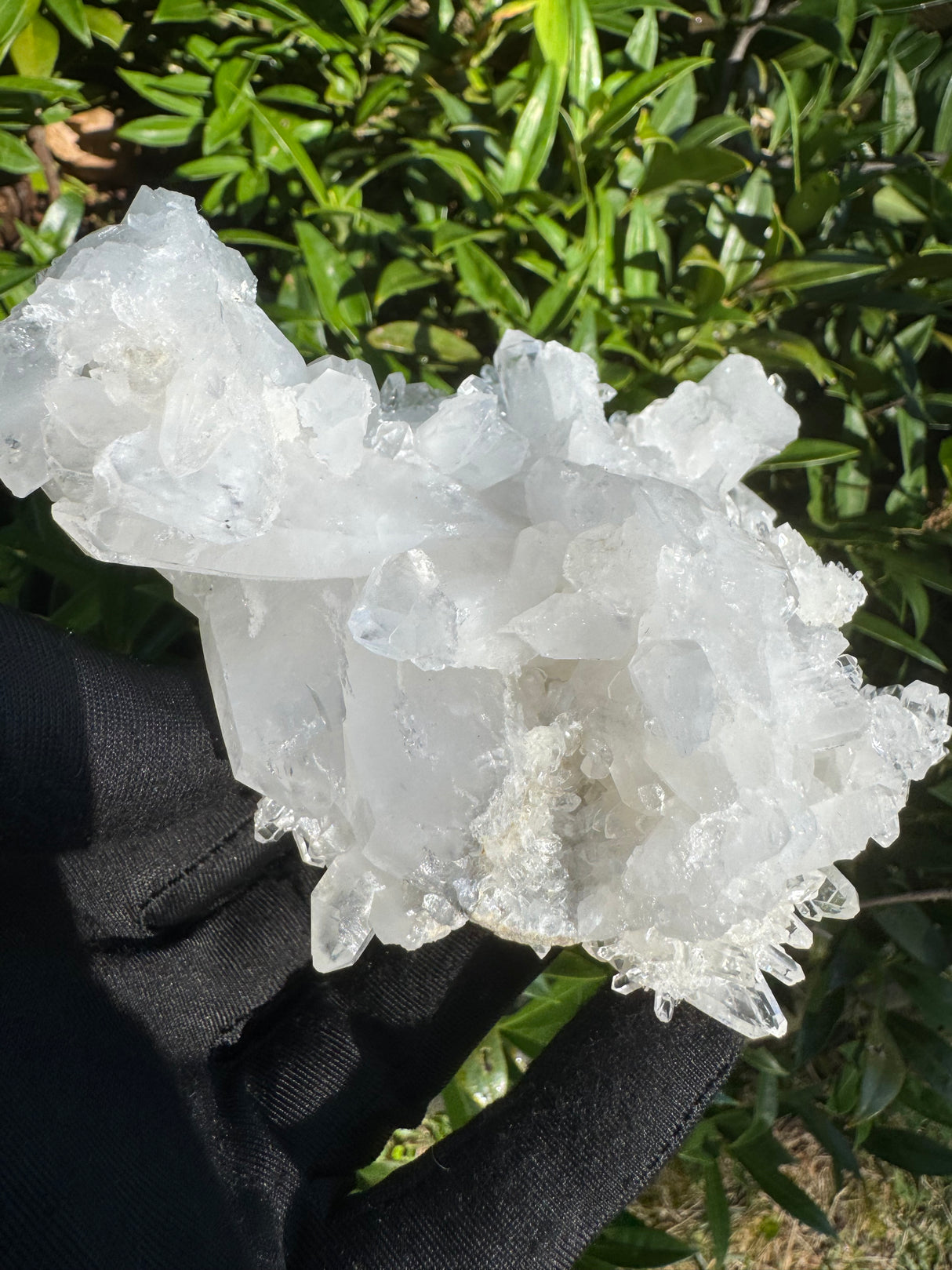 Faden Quartz Specimen - 465g