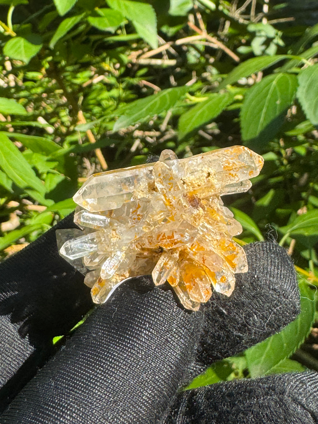 Faden Quartz Specimen - 28g
