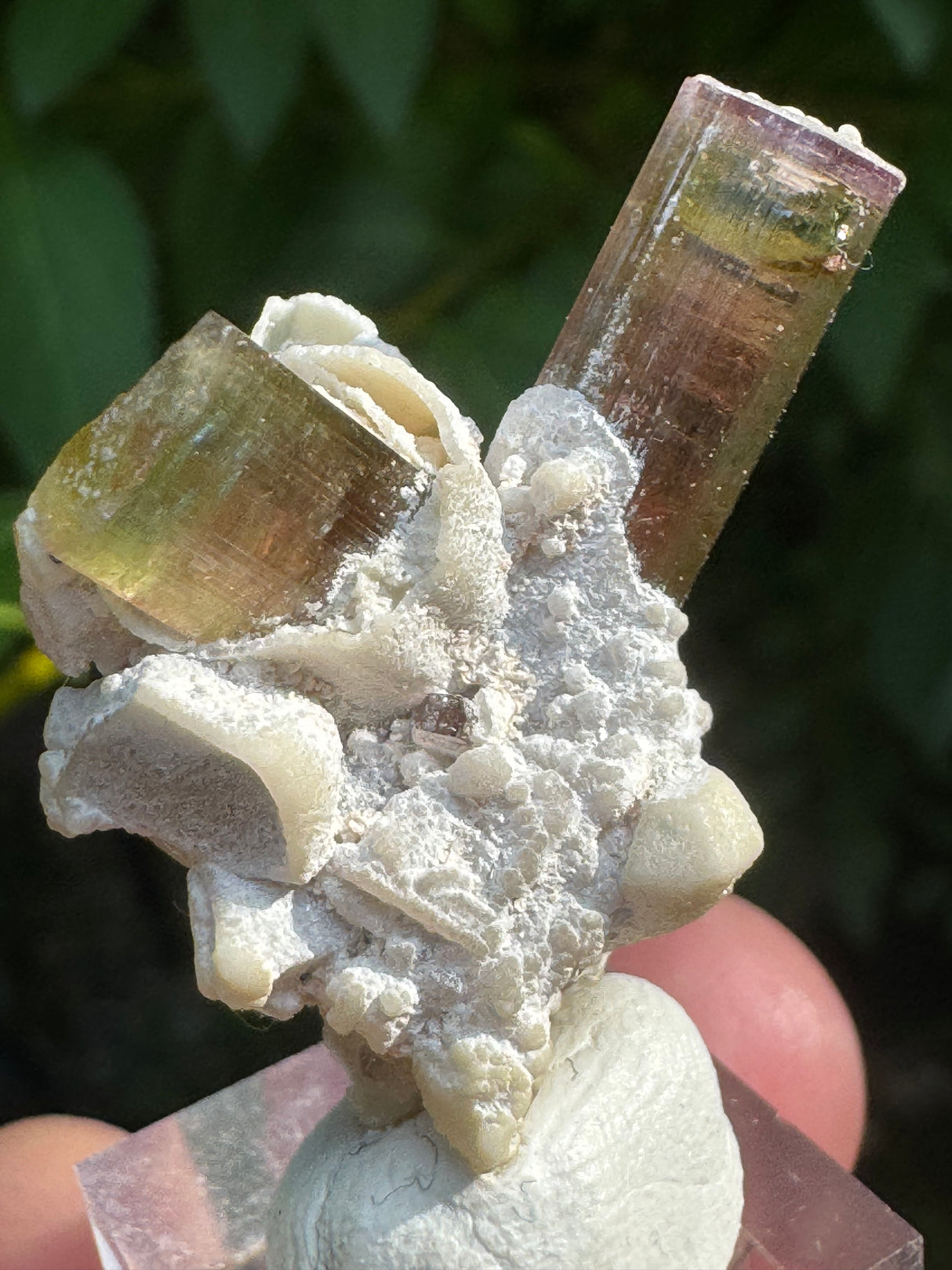 Tourmaline Specimen - 11g