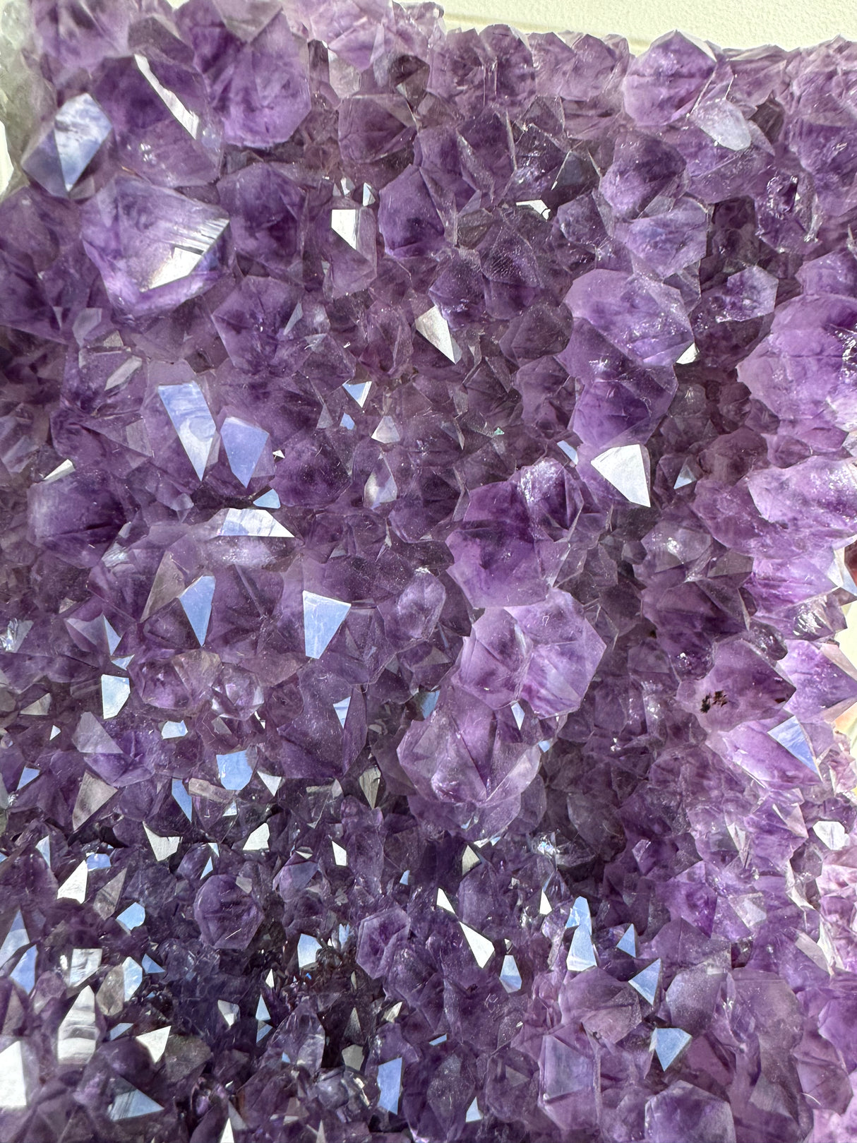 Brazilian Amethyst Cluster 10lb