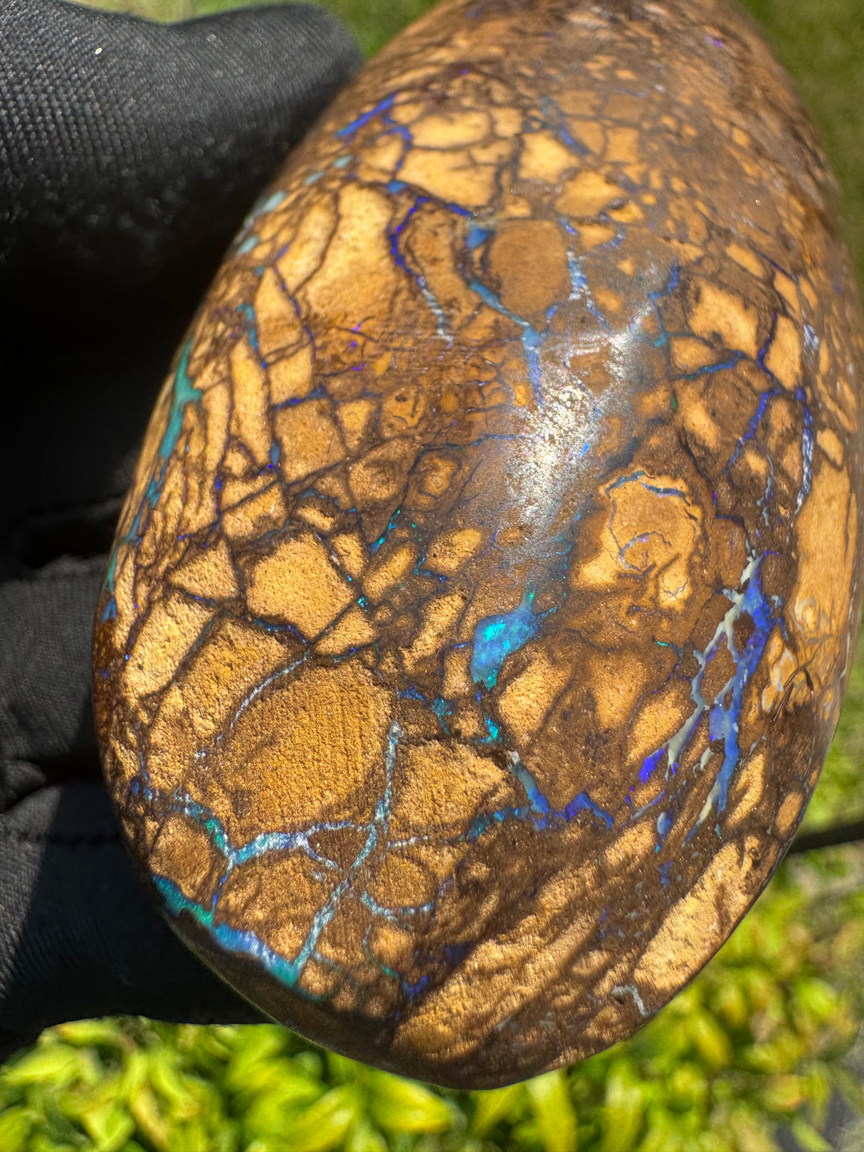 Rare Natural Boulder Opal – 251g