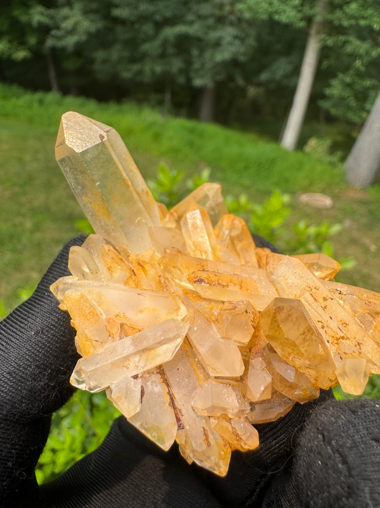 Quartz Specimen - 48g