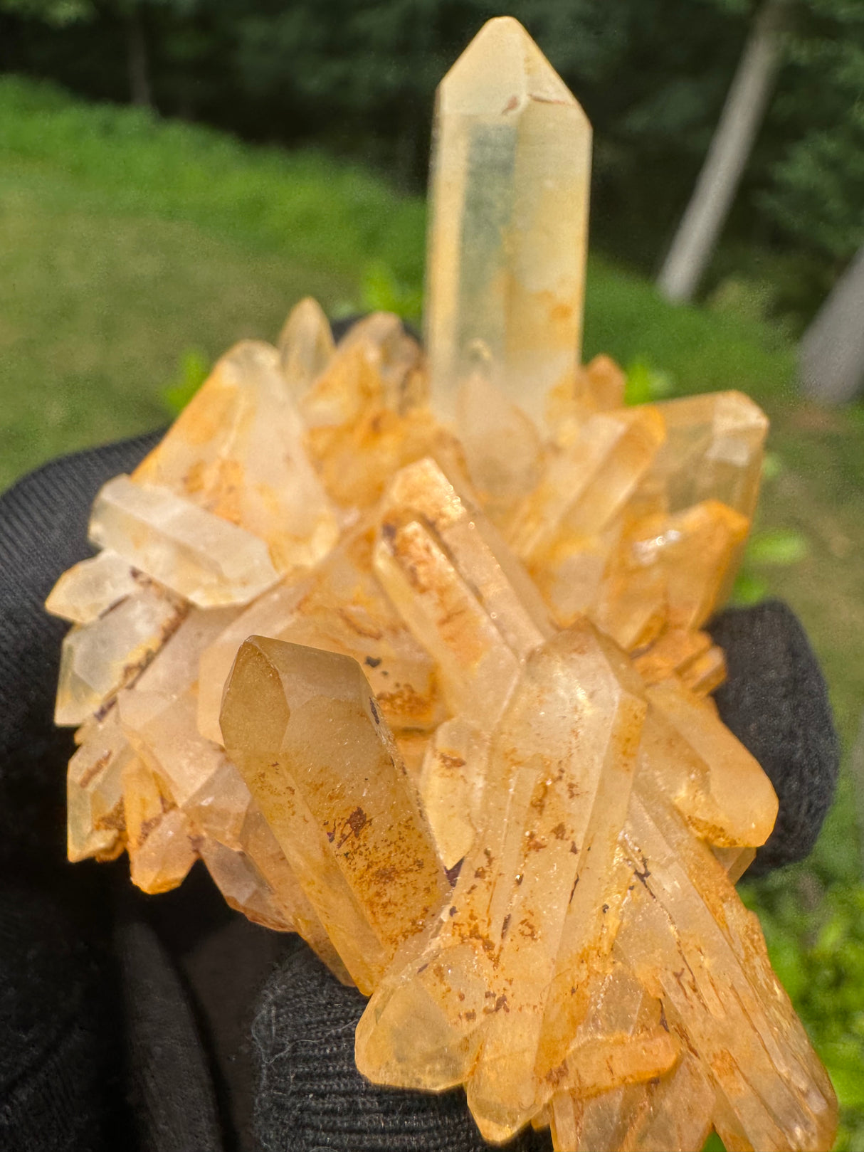 Quartz Specimen - 48g