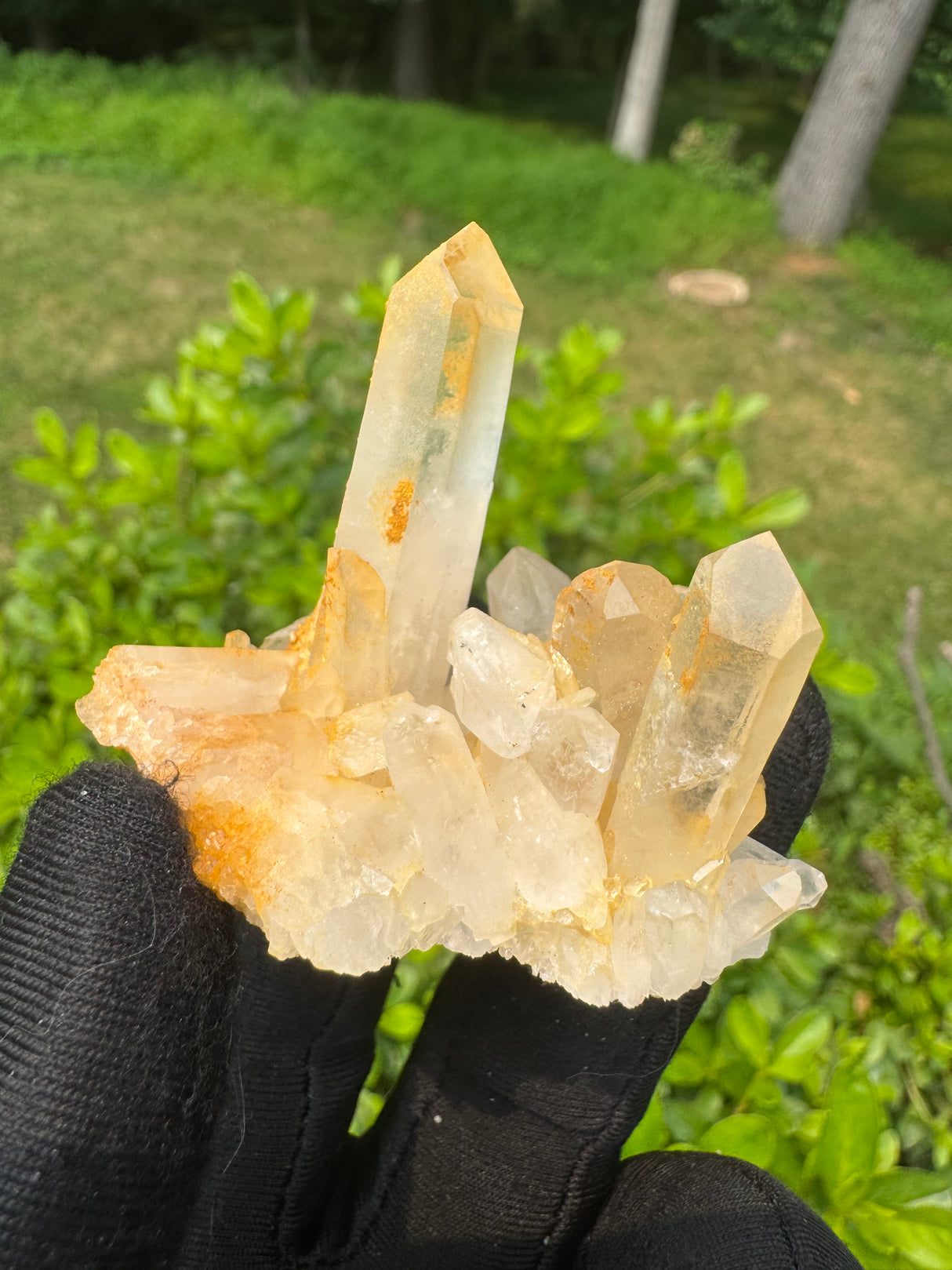 Quartz Specimen - 36g