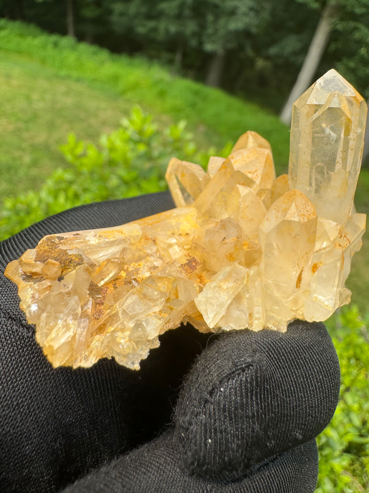 Quartz Specimen - 64g