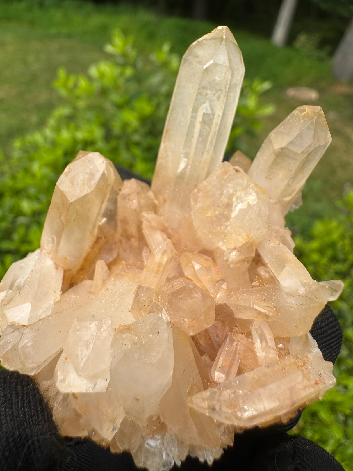 Quartz Specimen - 62g