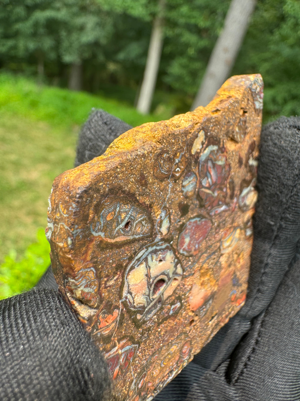 Australia Opal - 46g