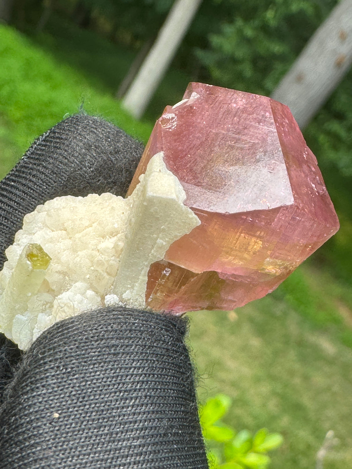 Tourmaline Crystal - 24.97g