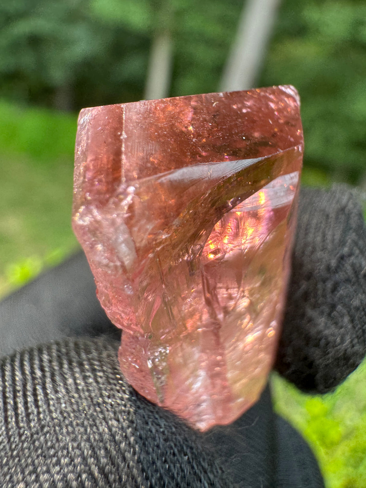 Tourmaline Crystal - 10.83g