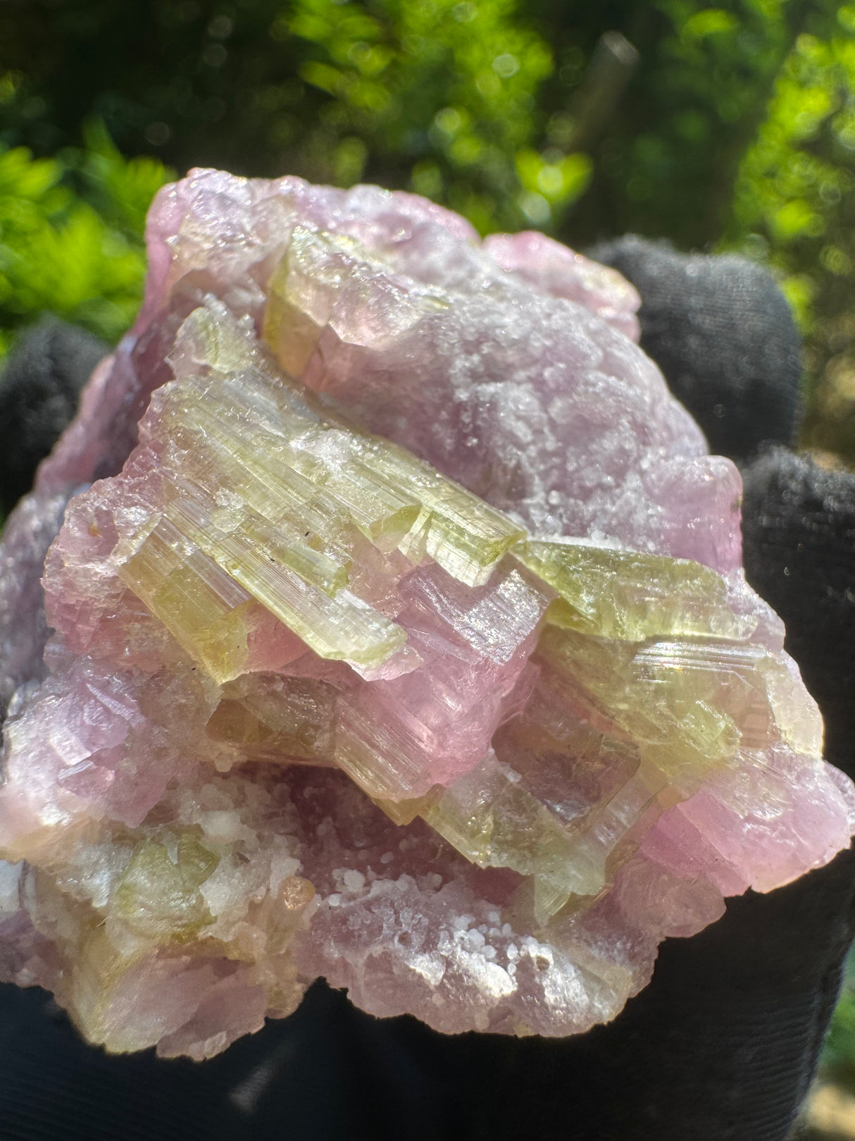 Watermelon Tourmaline Specimen - 74g