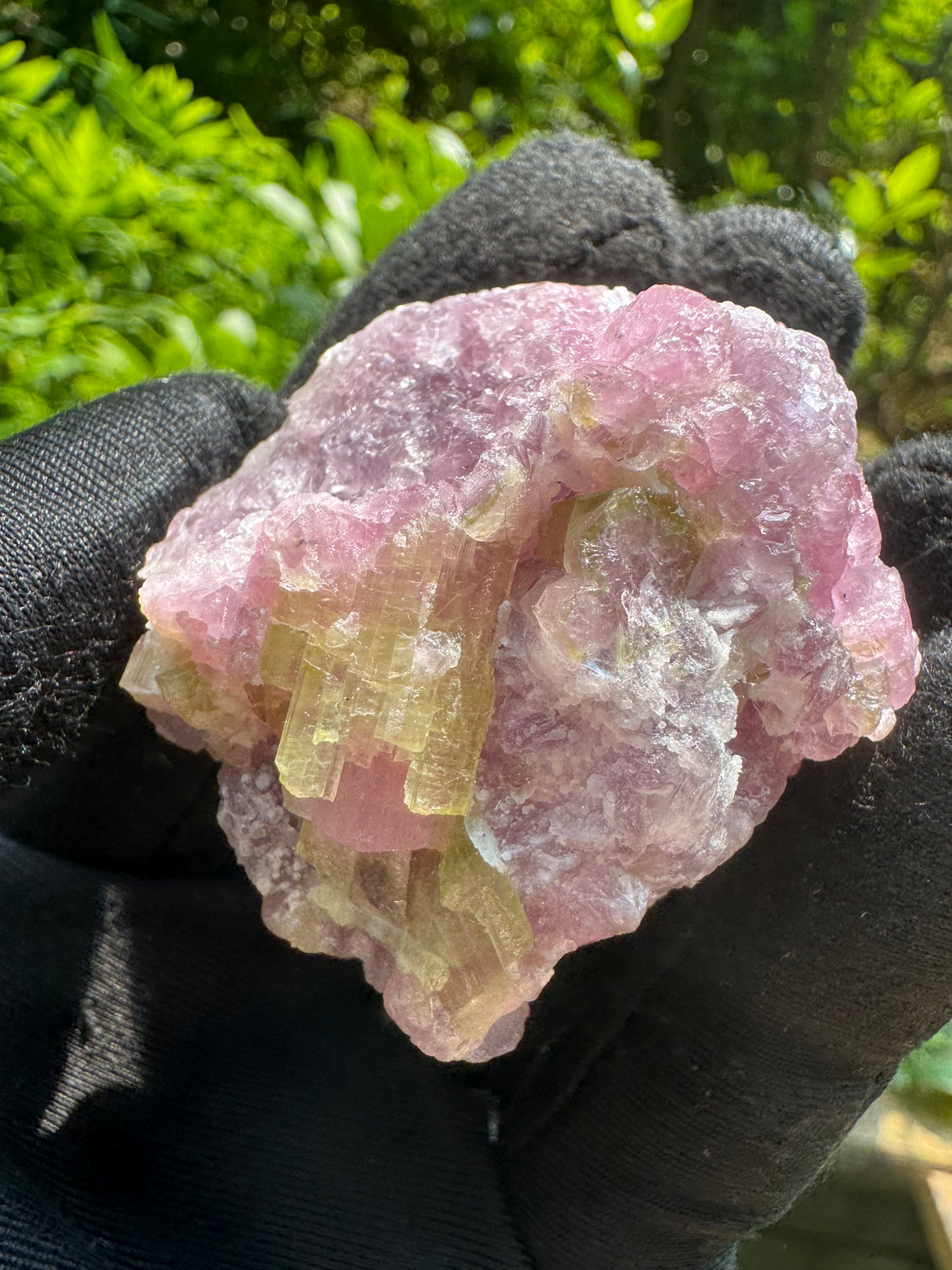 Watermelon Tourmaline Specimen - 74g