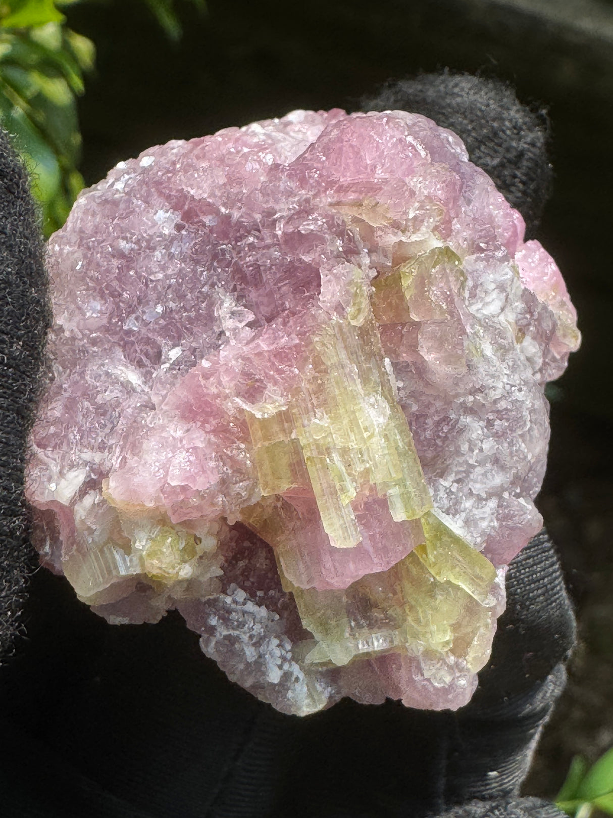 Watermelon Tourmaline Specimen - 74g