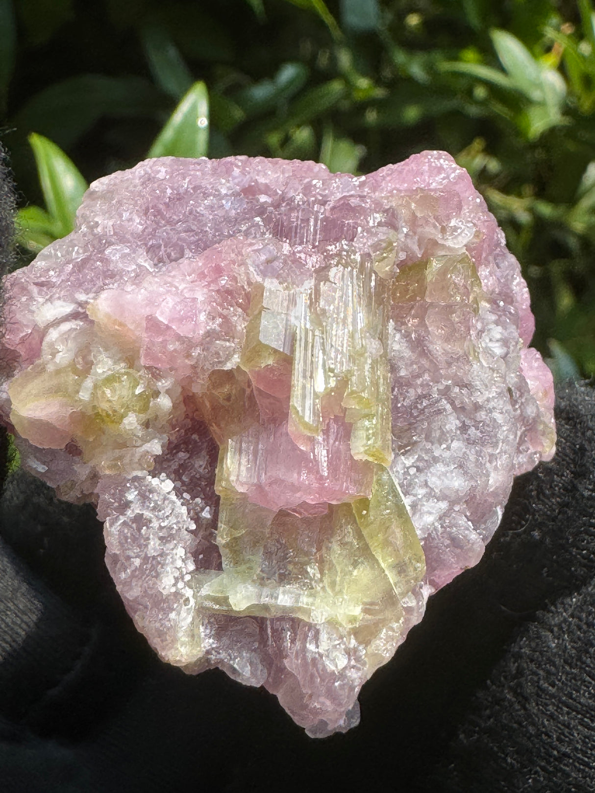 Watermelon Tourmaline Specimen - 74g