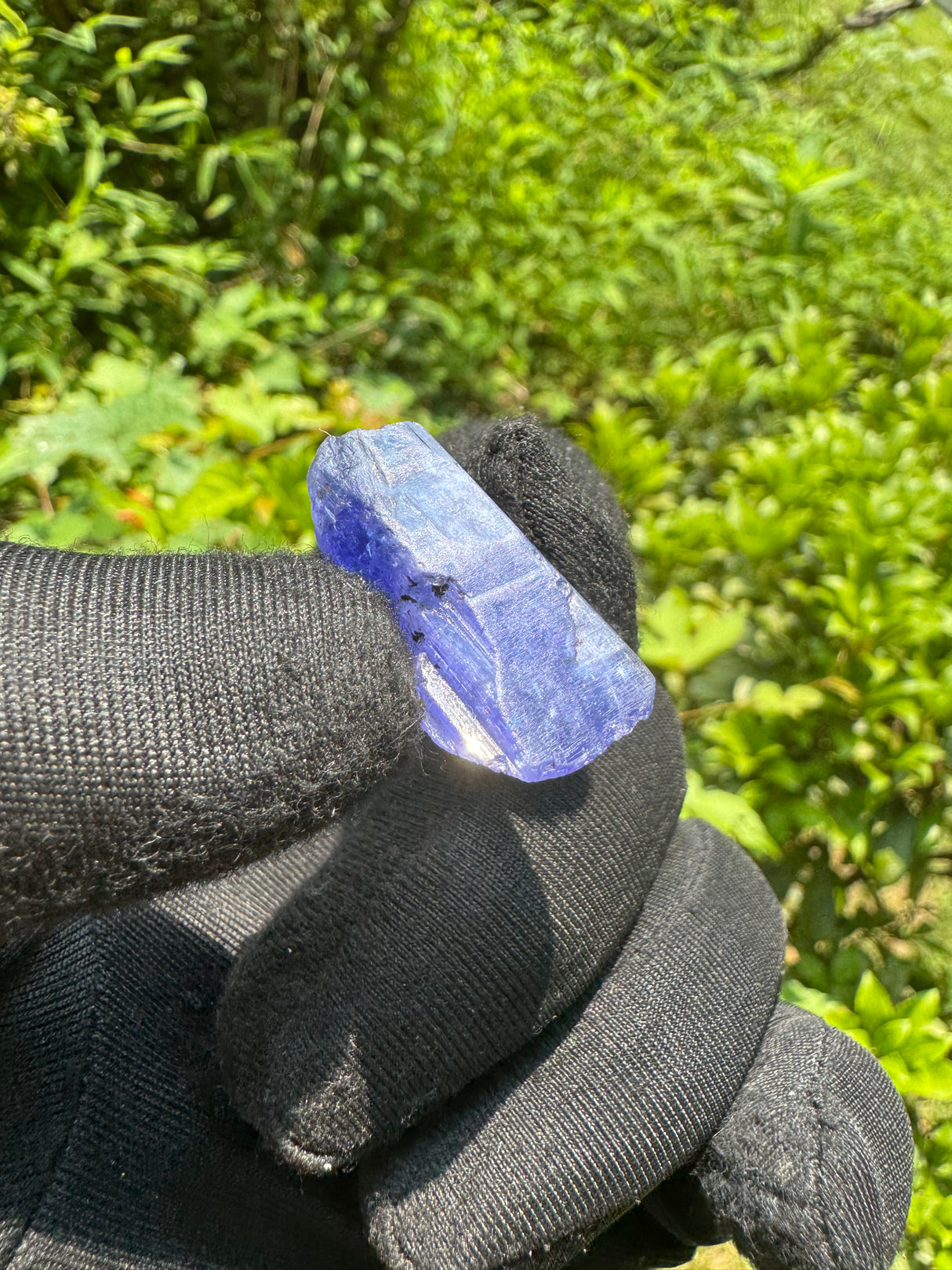 Tanzanite Crystal - 6.8g