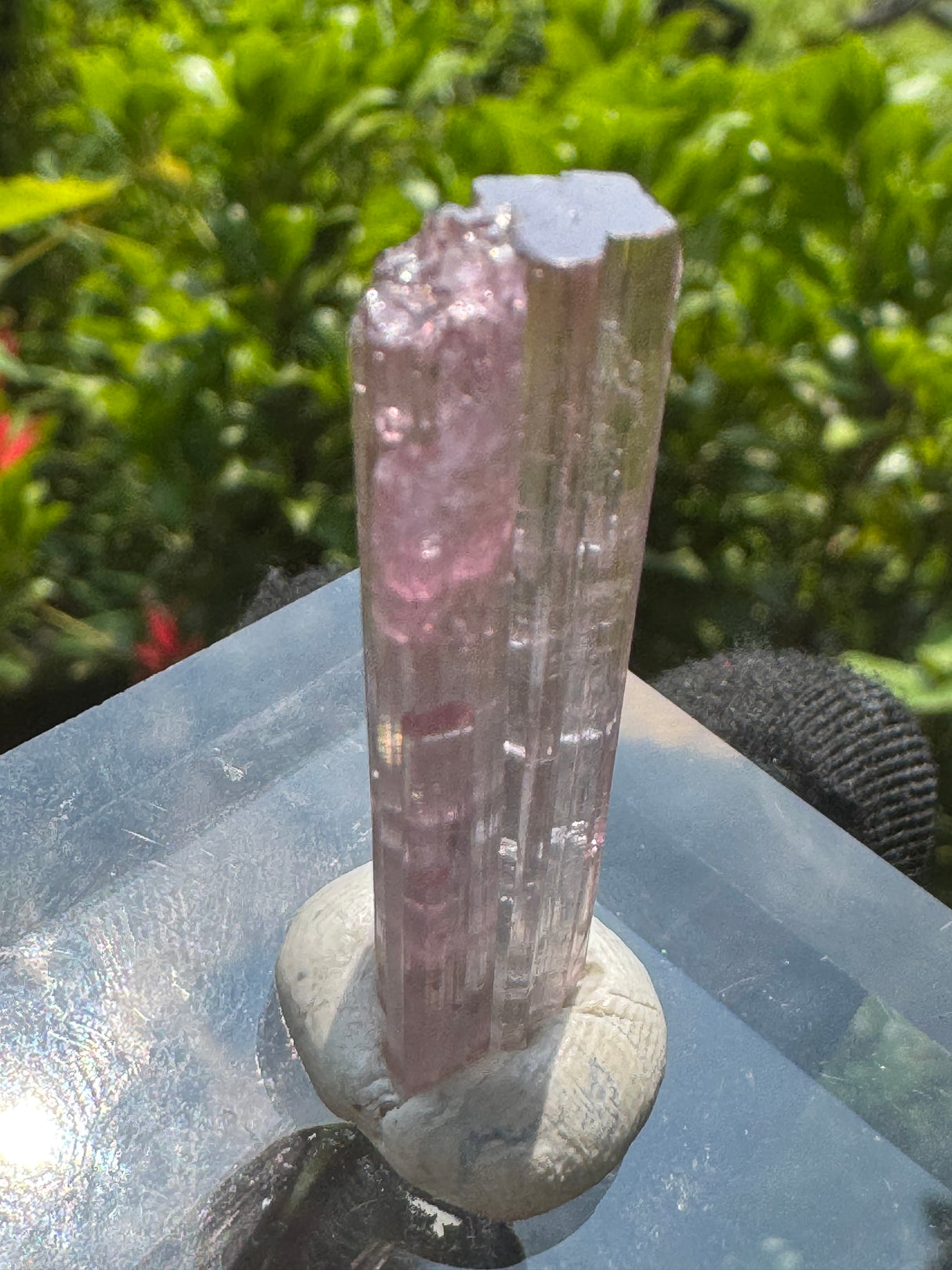 Tourmaline Crystal - 6.25g