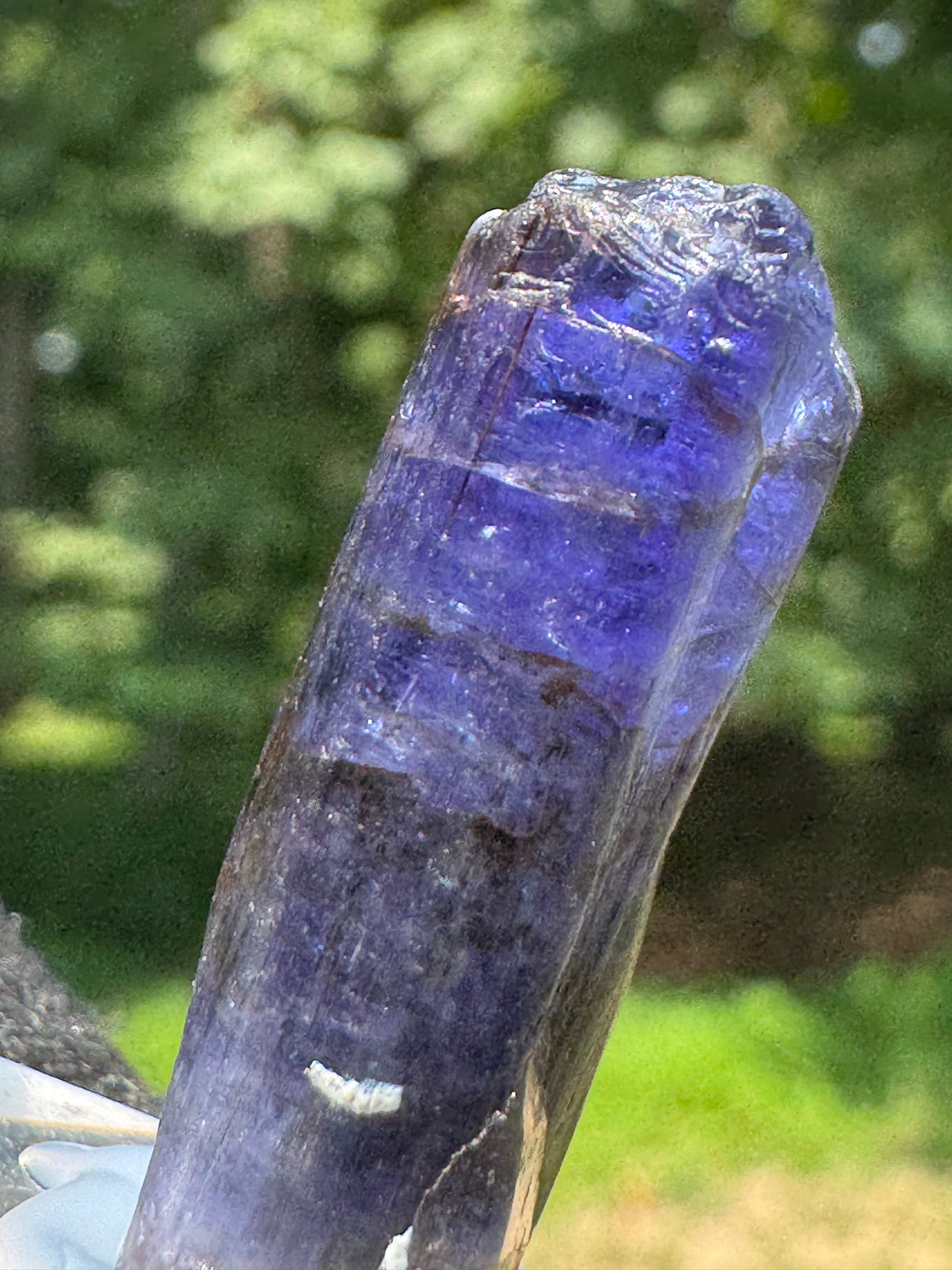 Tanzanite Crystal - 6g