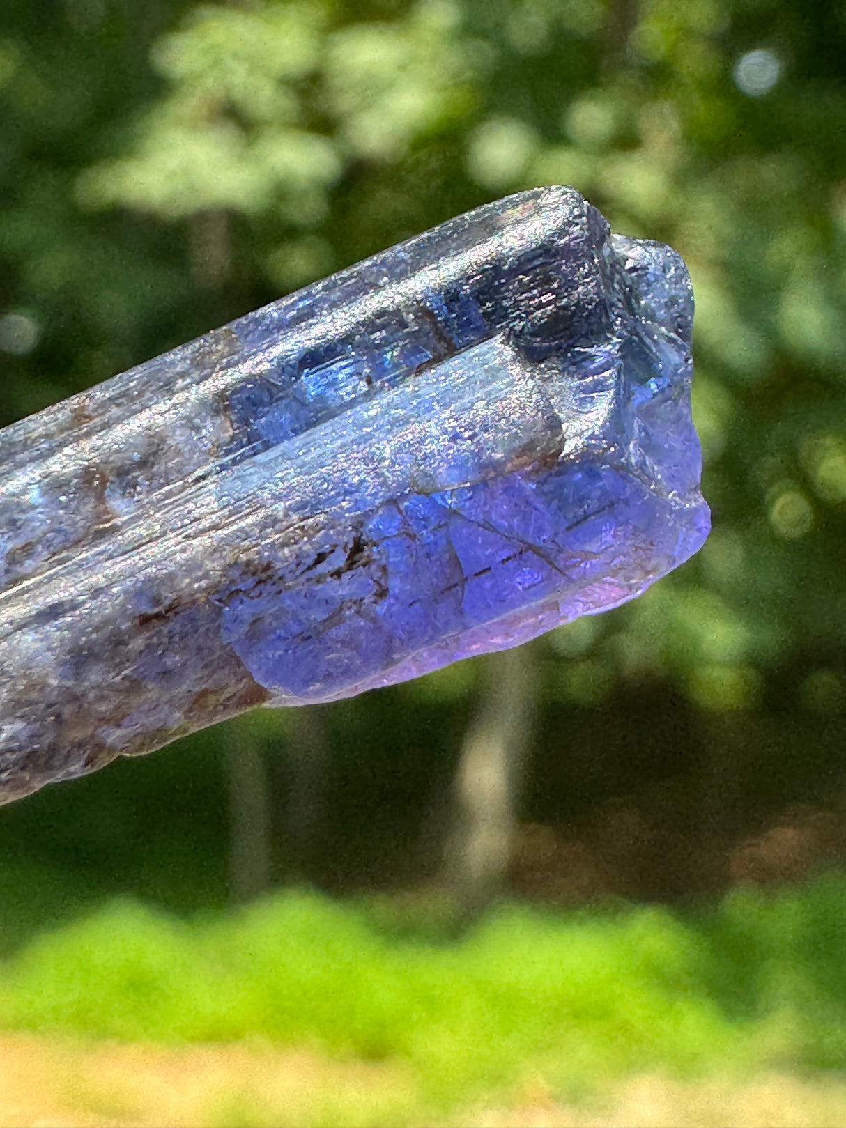 Tanzanite Crystal - 6g