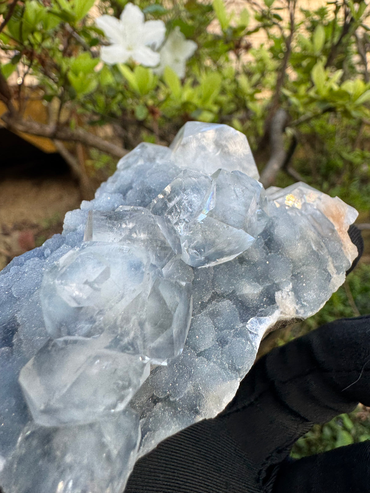 Apophyllite & Blue Chalcedony Specimen - 251g