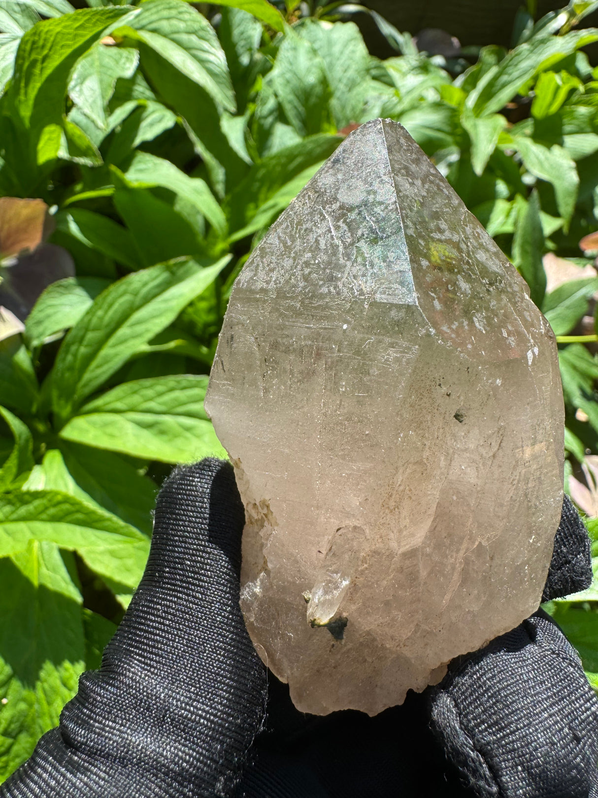 Quartz Specimen - 138g