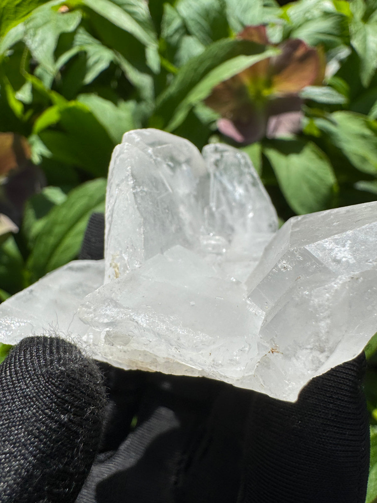 Faden Quartz Specimen - 68g