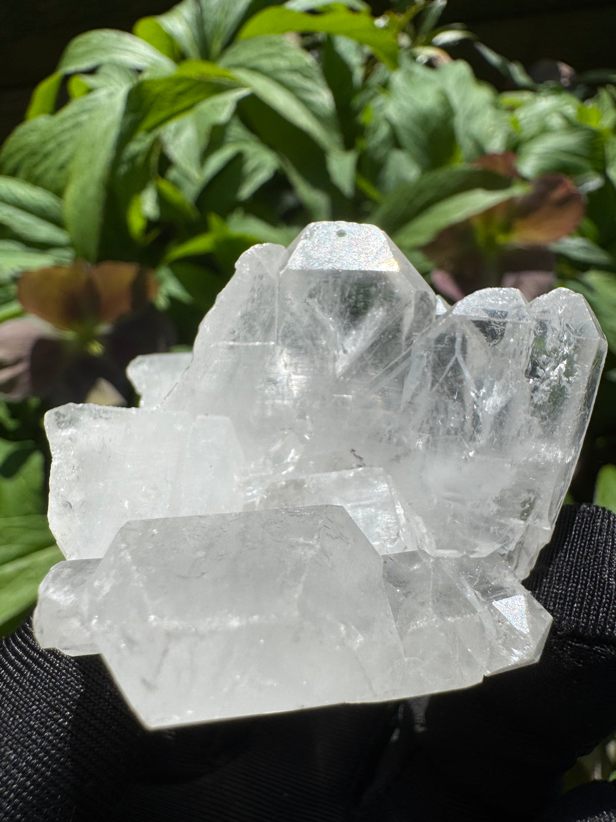 Faden Quartz Specimen - 68g