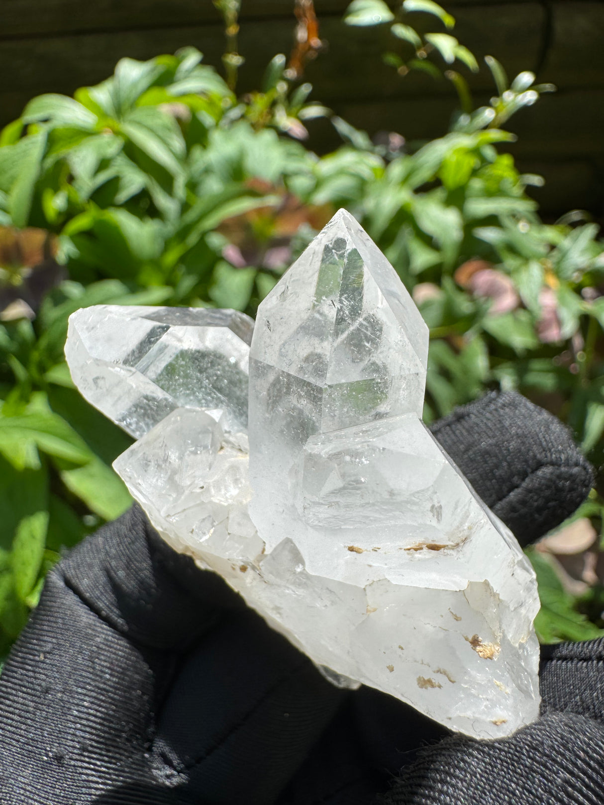 Quartz Specimen - 67g