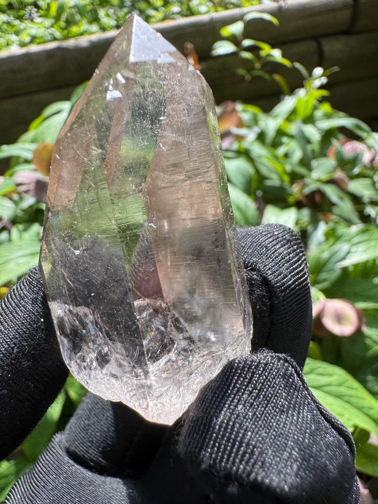 Quartz Specimen - 53g