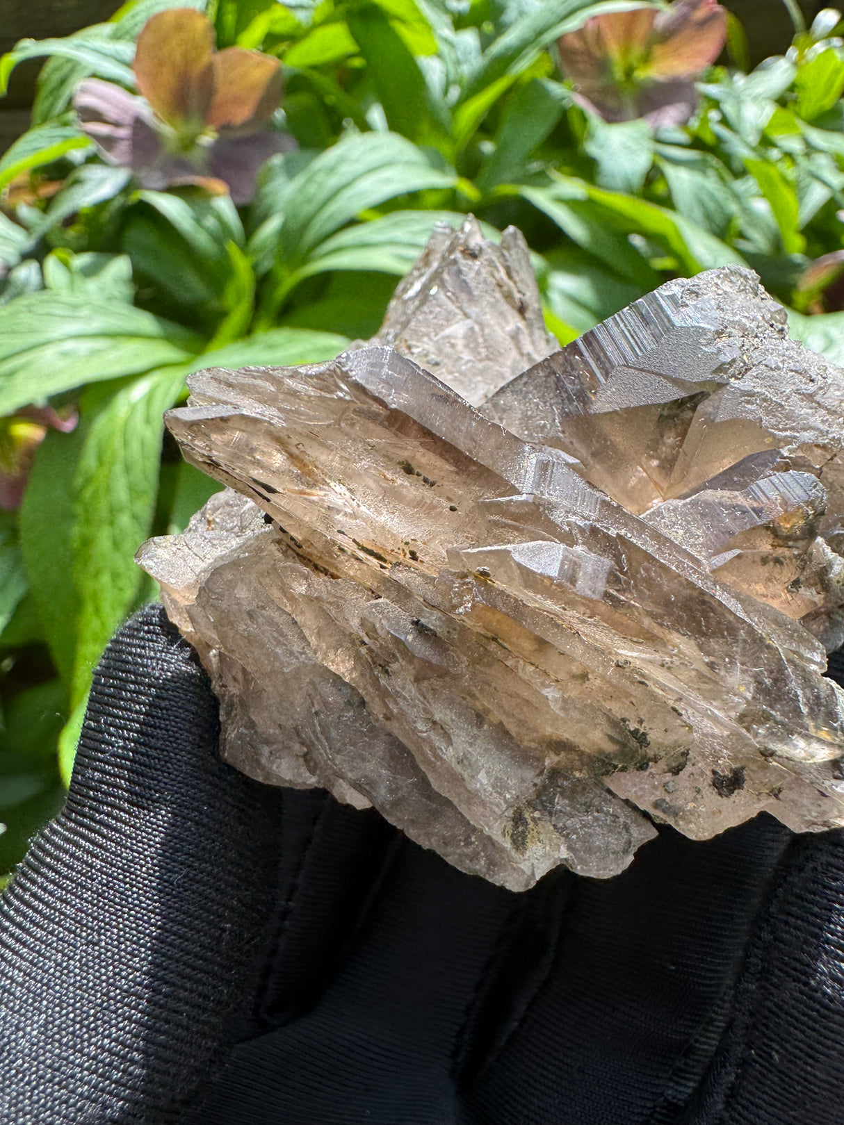 Faden Quartz Specimen - 112g
