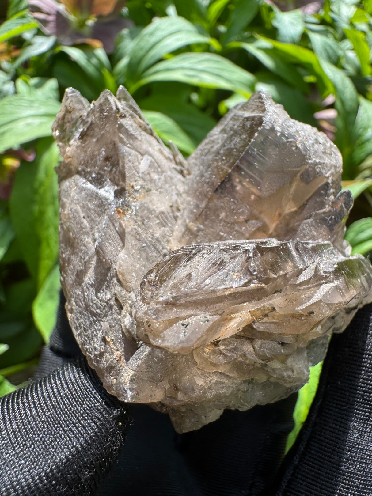 Faden Quartz Specimen - 112g