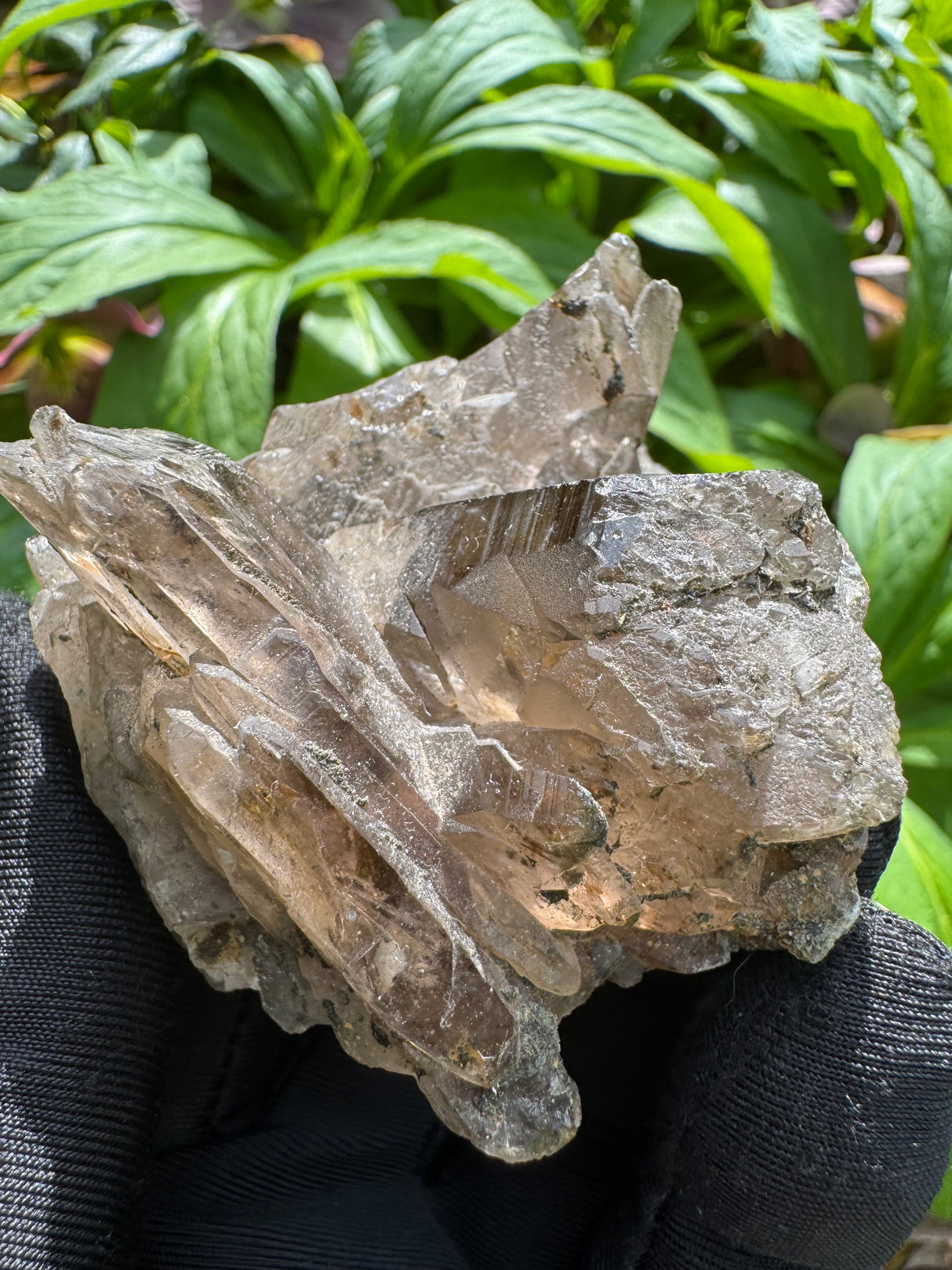 Faden Quartz Specimen - 112g