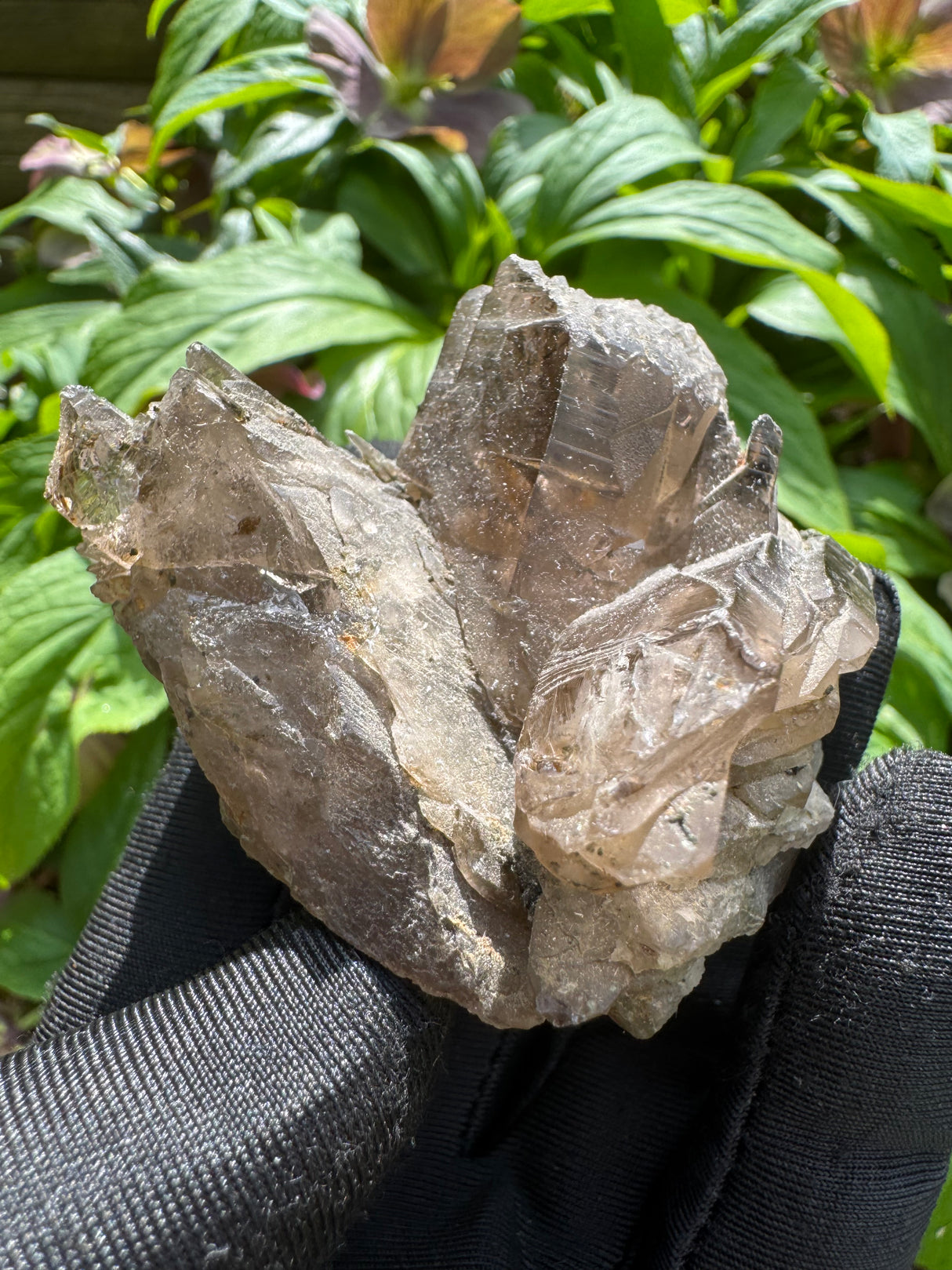 Faden Quartz Specimen - 112g