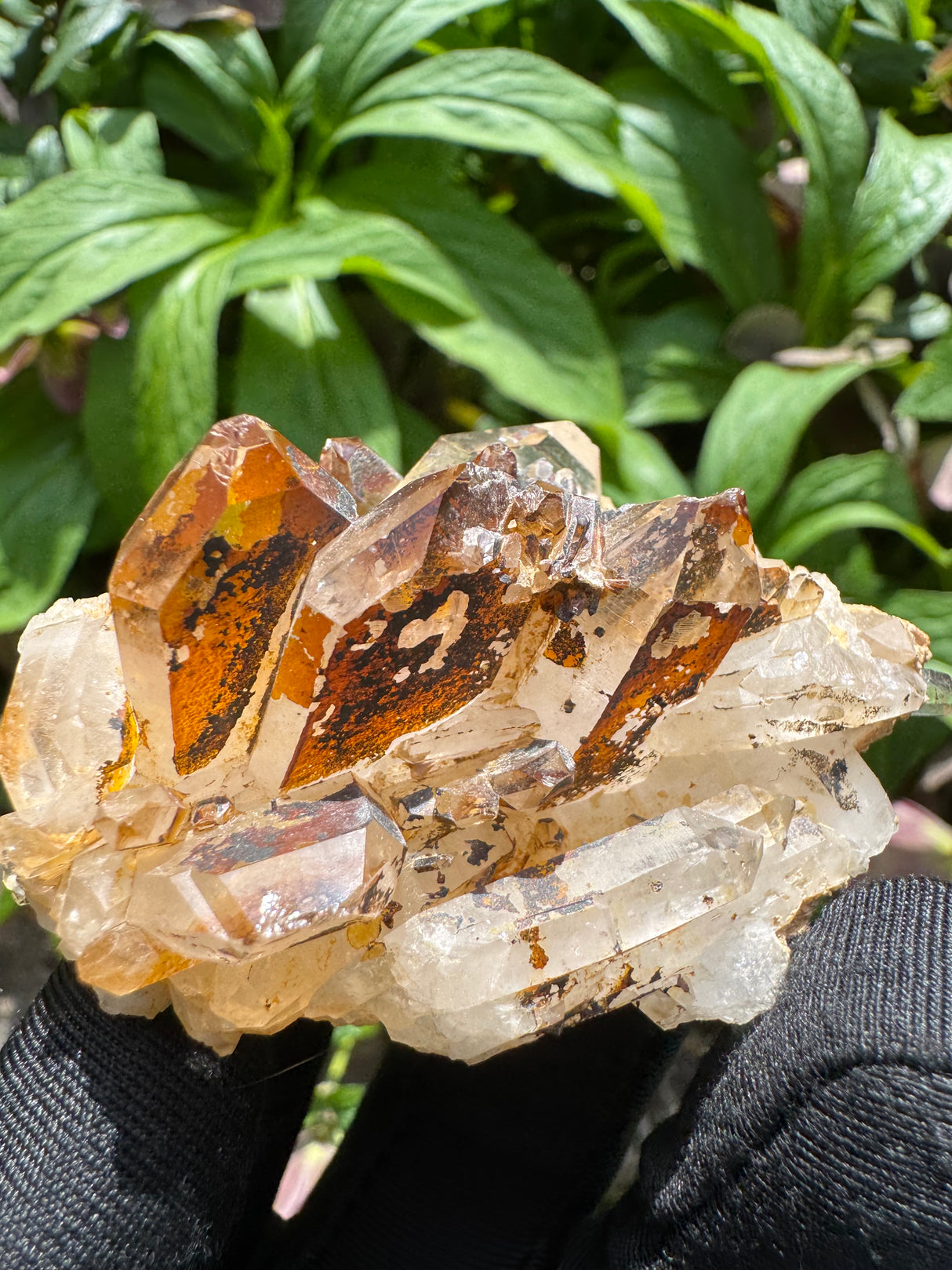 Faden Quartz Specimen - 63g