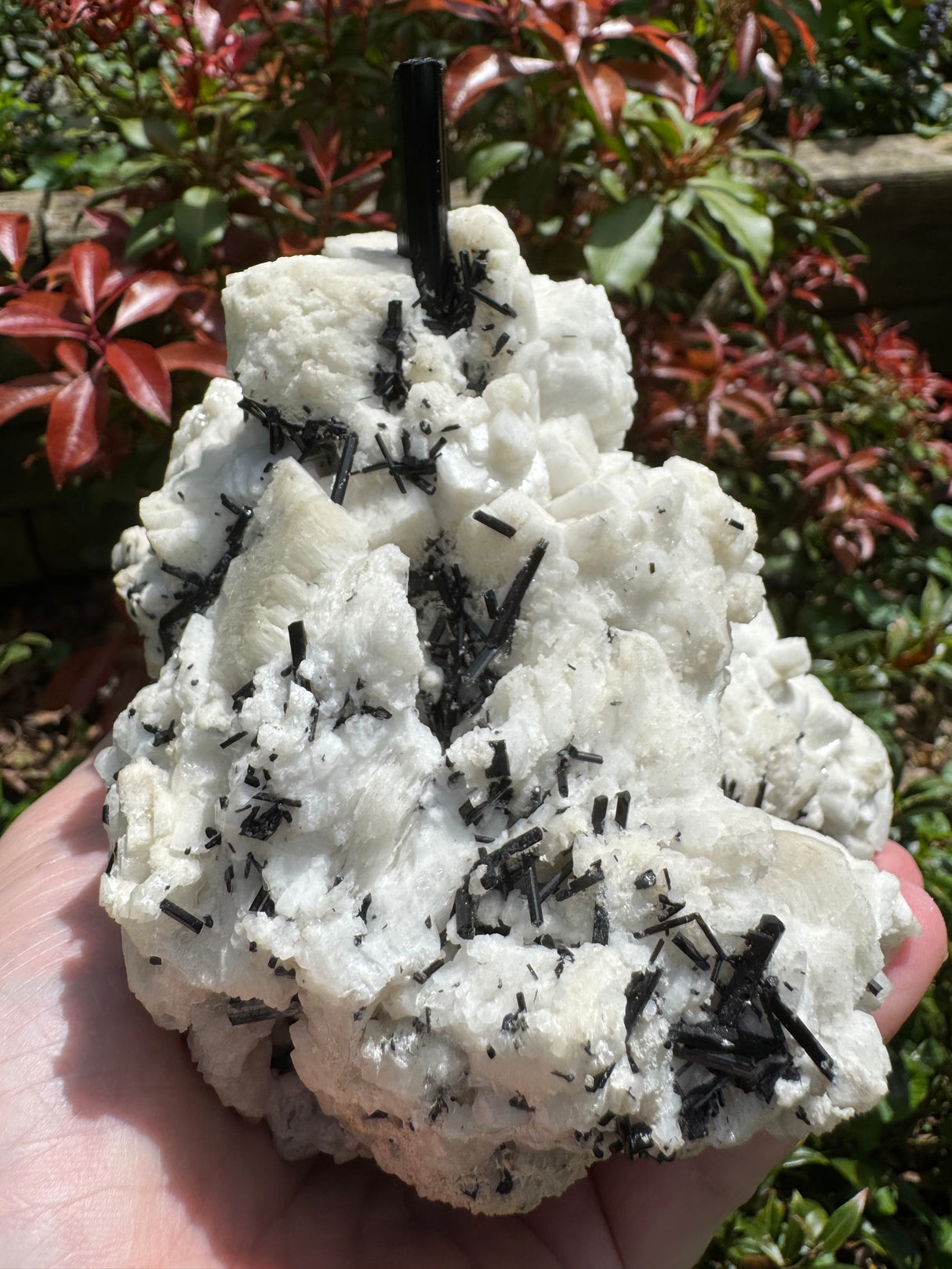 Black Tourmaline Specimen - 1556g