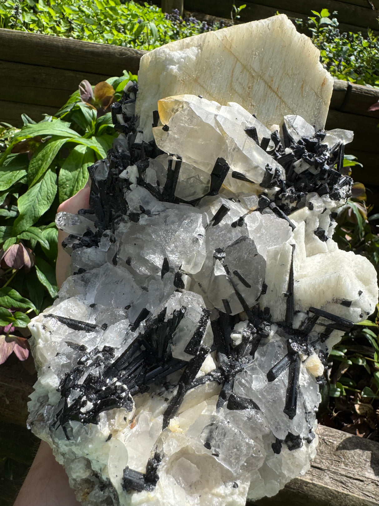 Black Tourmaline & Quartz - 4038g