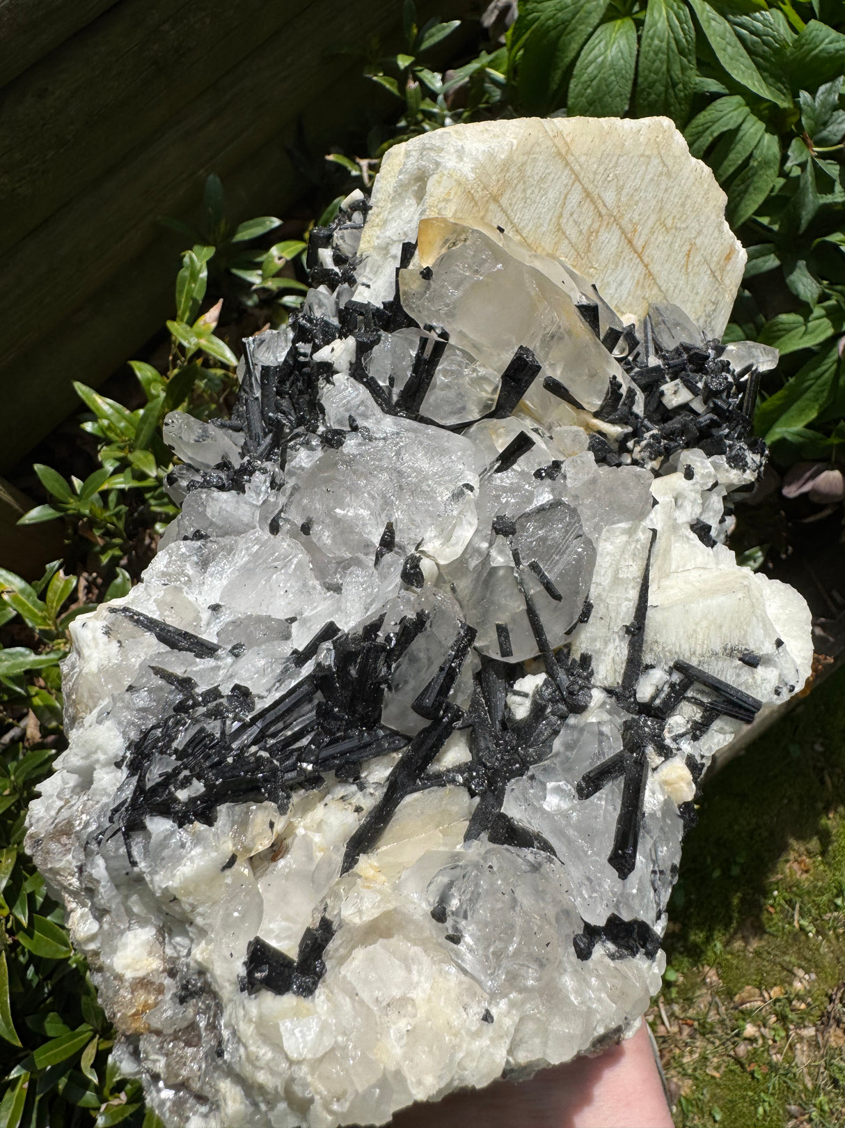 Black Tourmaline & Quartz - 4038g