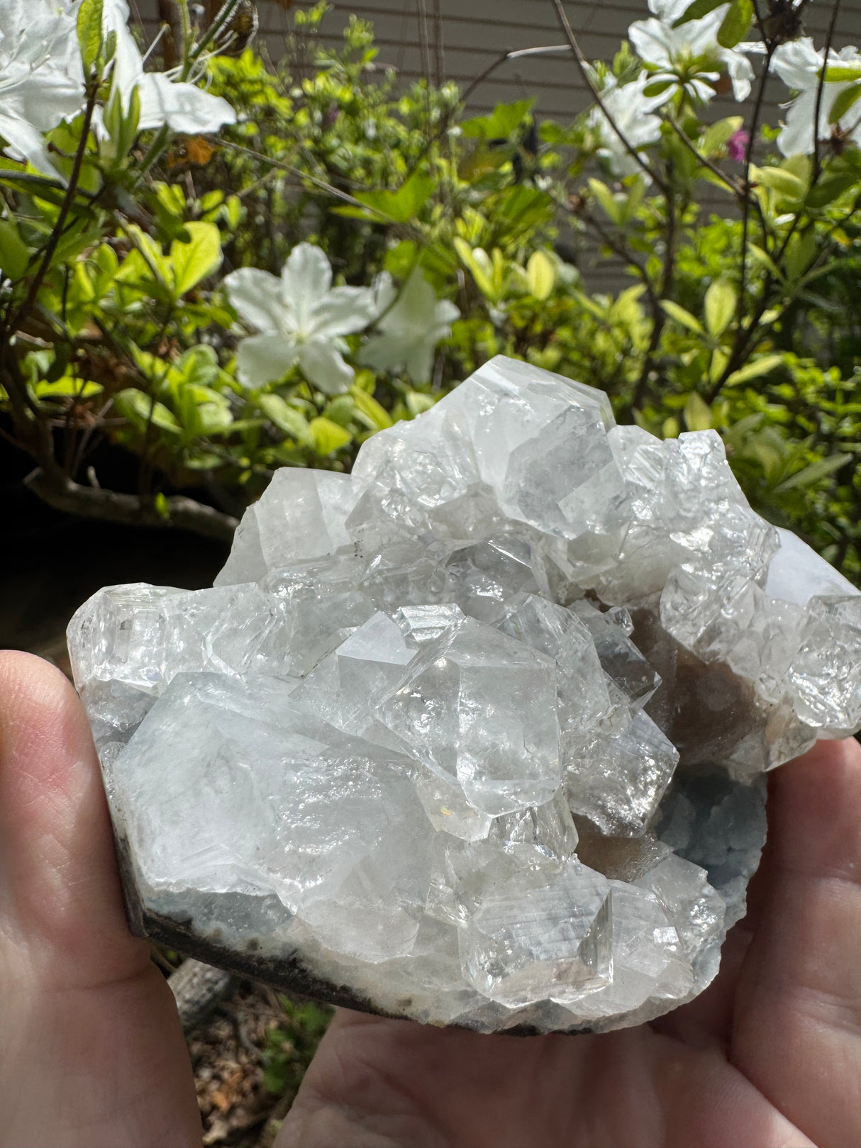 Apophylite & Chalcedony Specimen - 478g