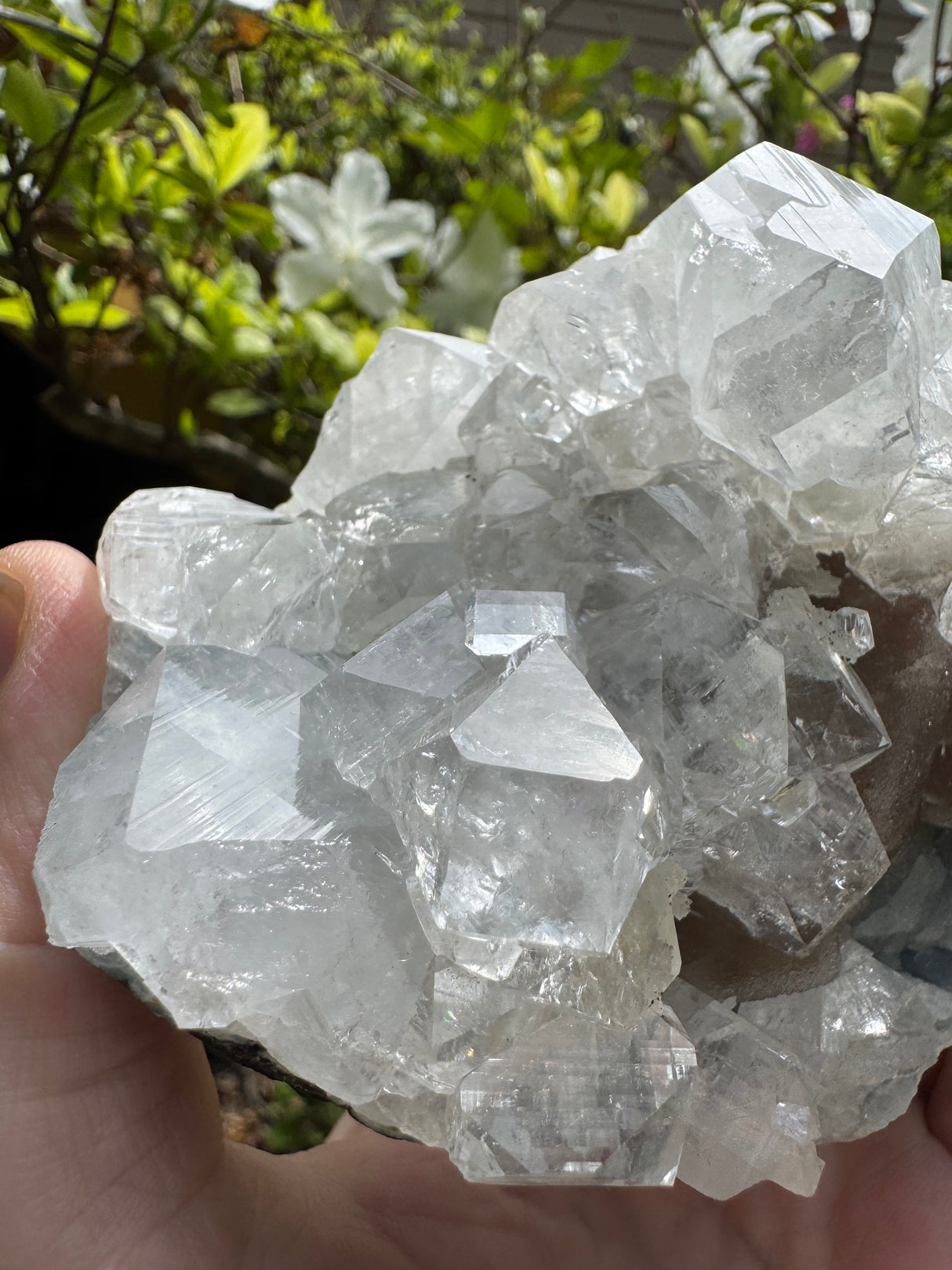 Apophylite & Chalcedony Specimen - 478g