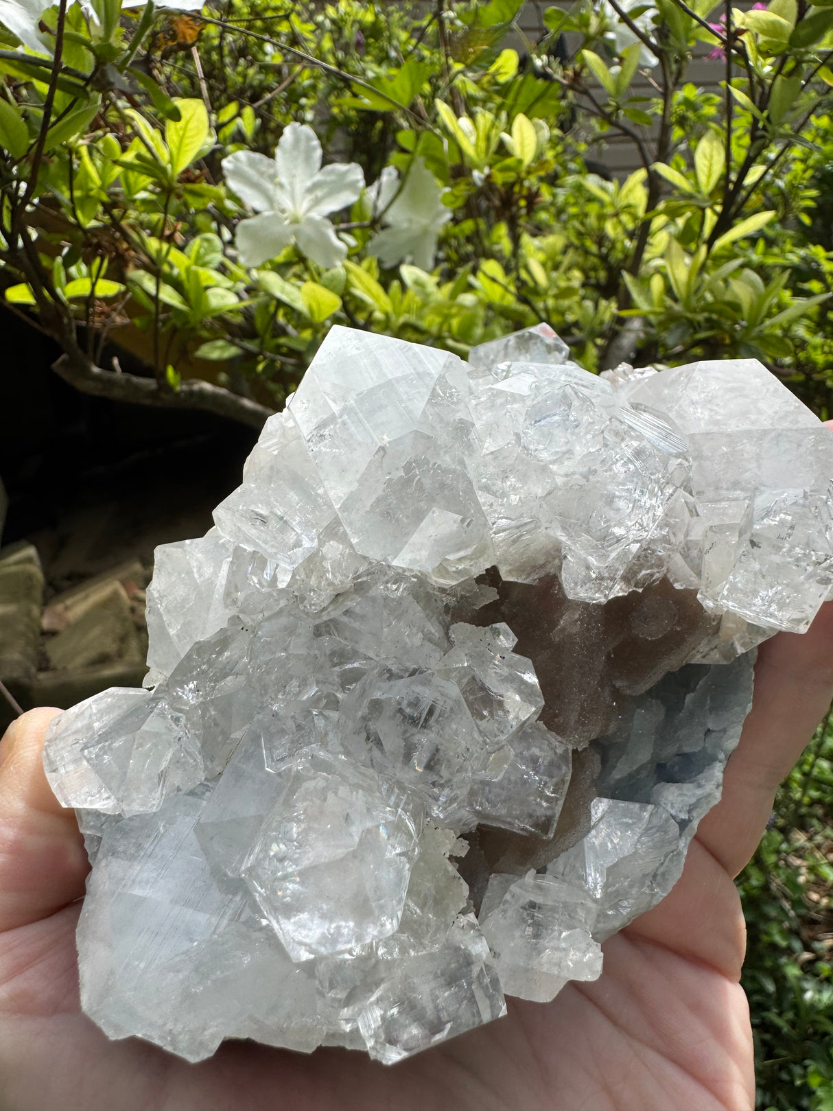 Apophylite & Chalcedony Specimen - 478g
