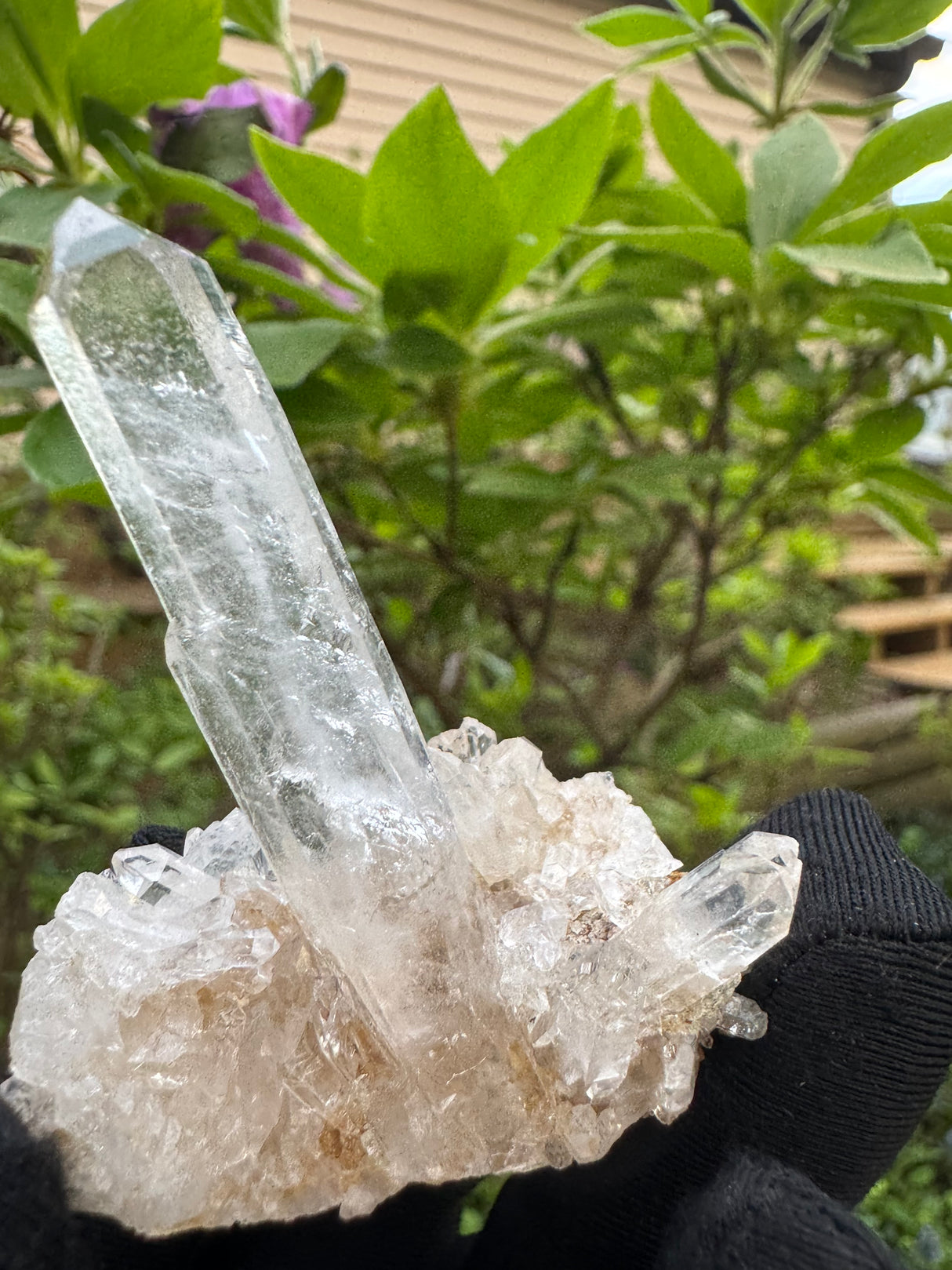 Quartz Specimen - 31g