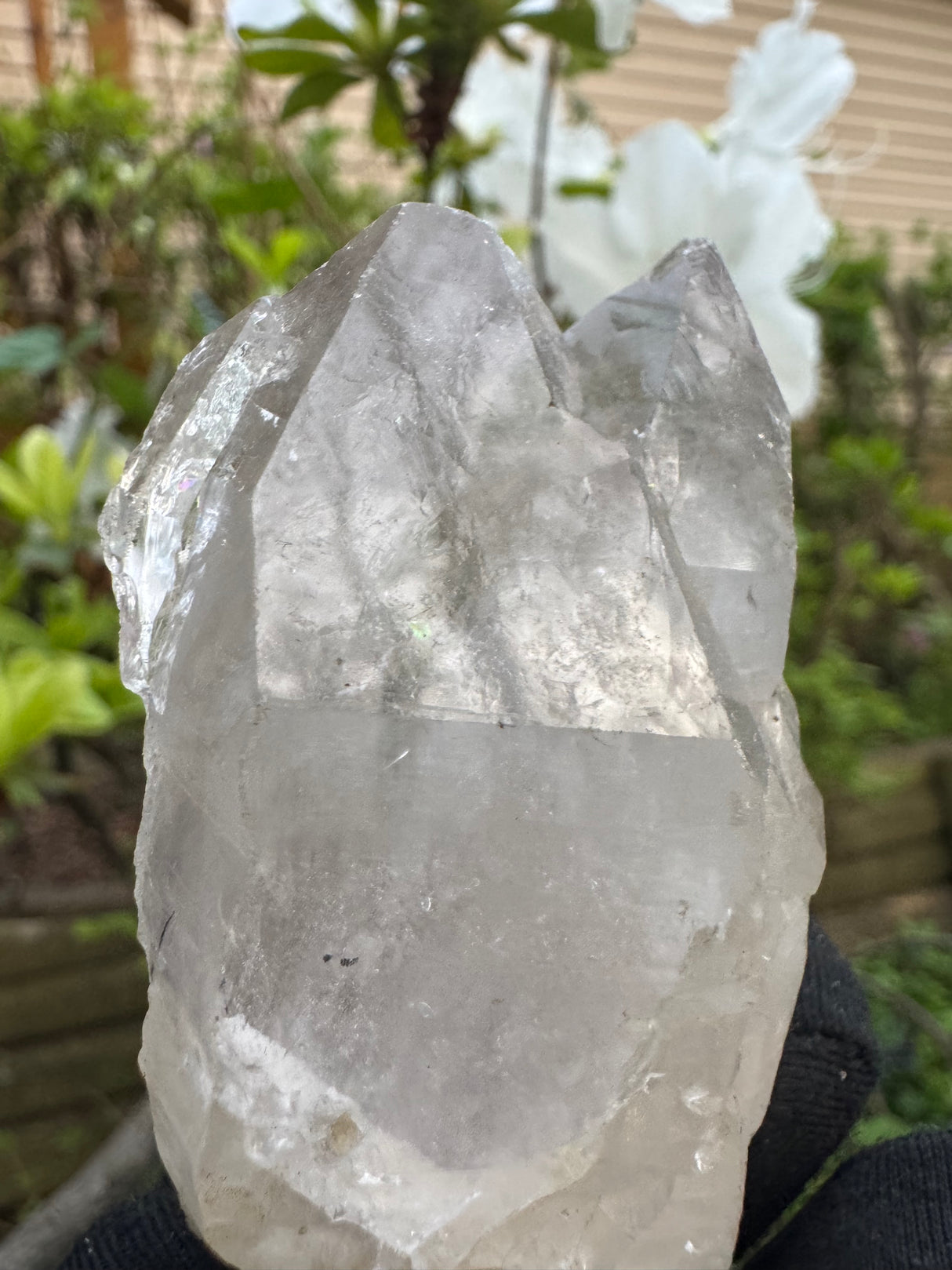 Quartz Specimen - 155g