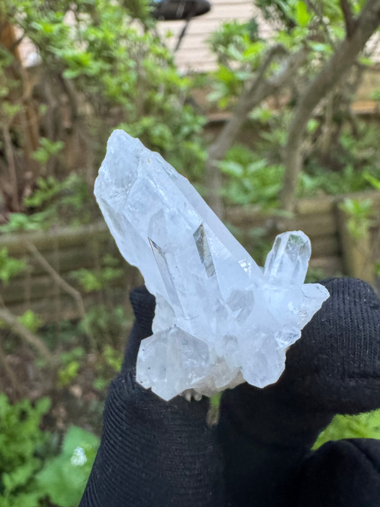 Quartz Specimen - 22g