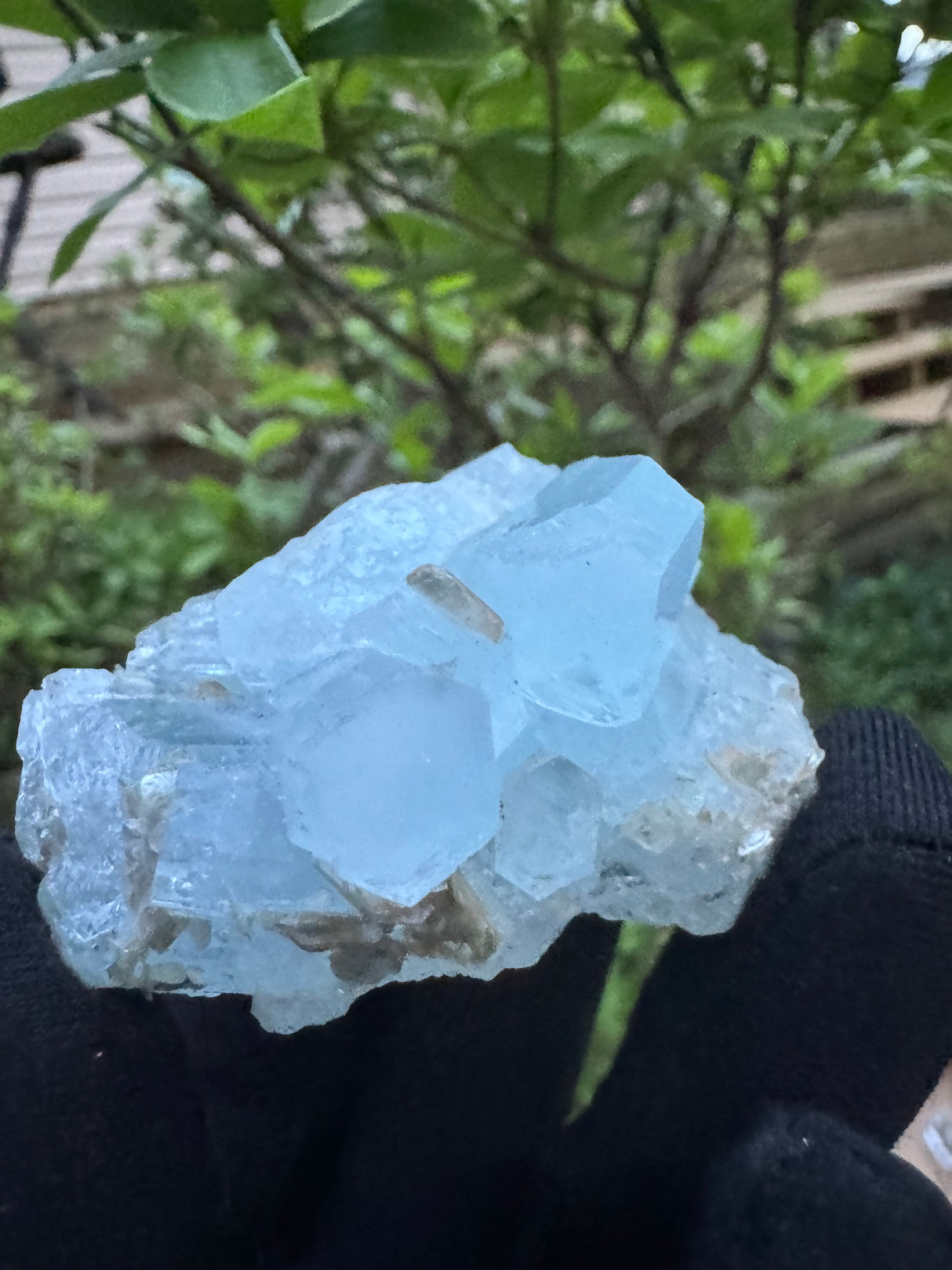 Aquamarine Specimen - 55g