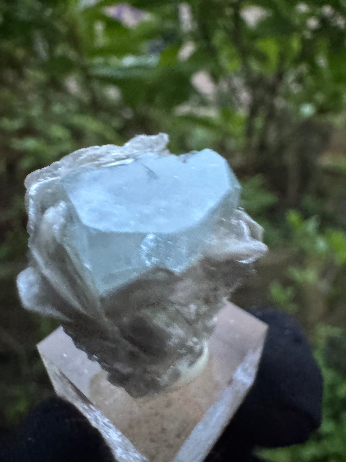 Aquamarine Specimen - 8g