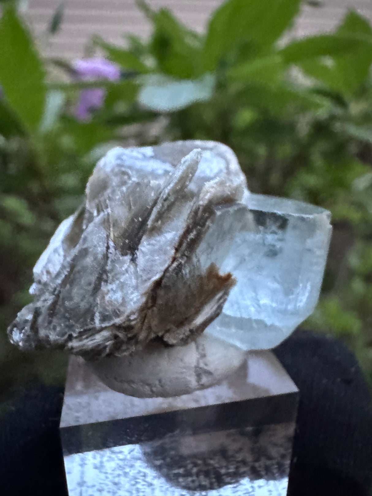 Aquamarine Specimen - 8g