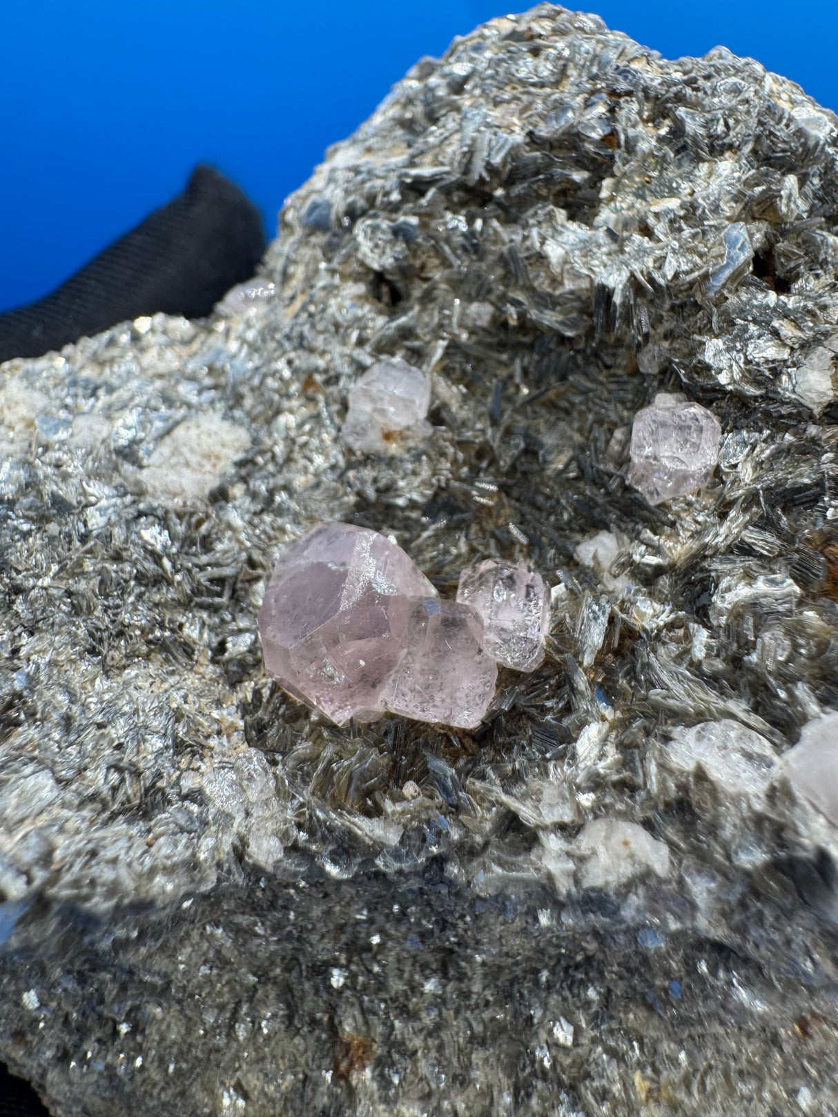 Pink Appetite Specimen - 424g